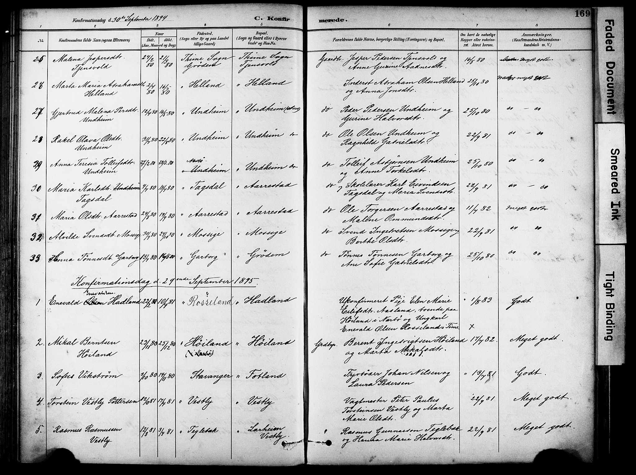 Lye sokneprestkontor, SAST/A-101794/001/30BA/L0011: Parish register (official) no. A 9, 1893-1903, p. 169