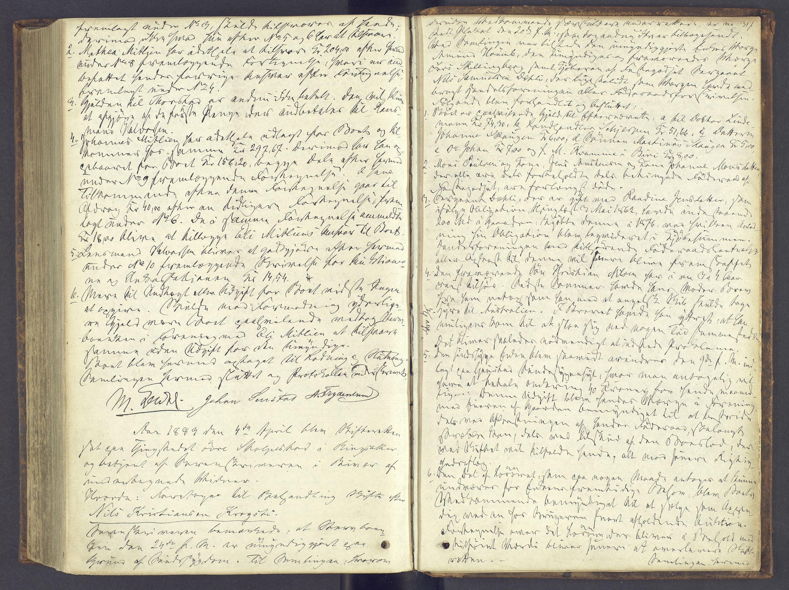 Nord-Hedmark sorenskriveri, AV/SAH-TING-012/J/Ja/L0015: Skifteprotokoll, 1875-1883, p. 316b-317a