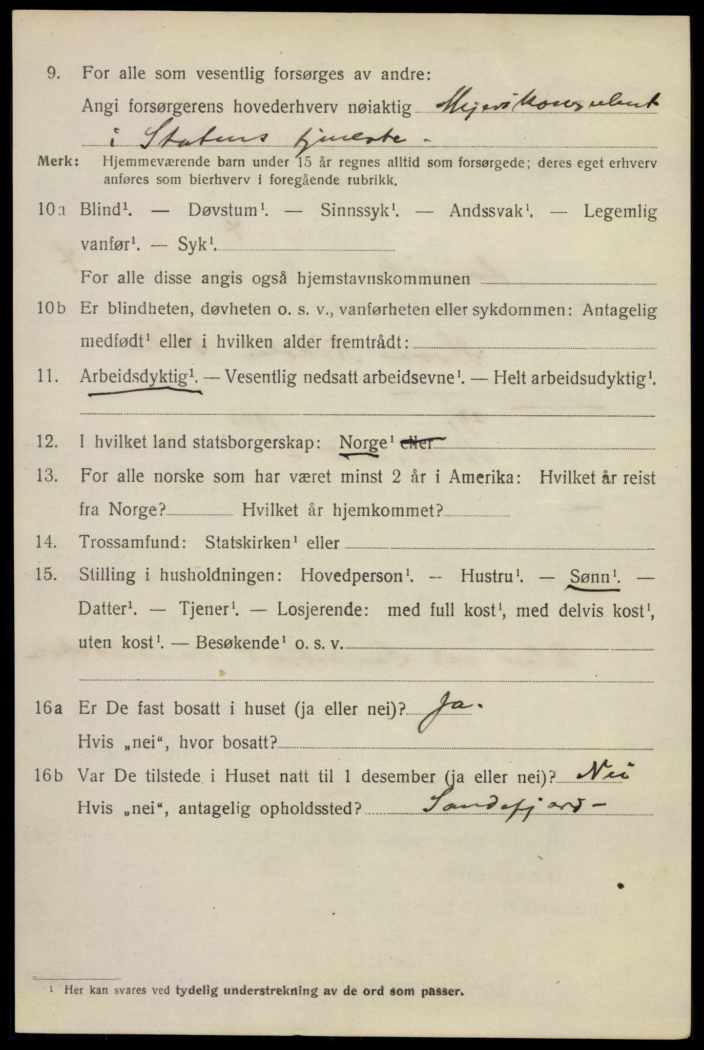 SAKO, 1920 census for Larvik, 1920, p. 13629