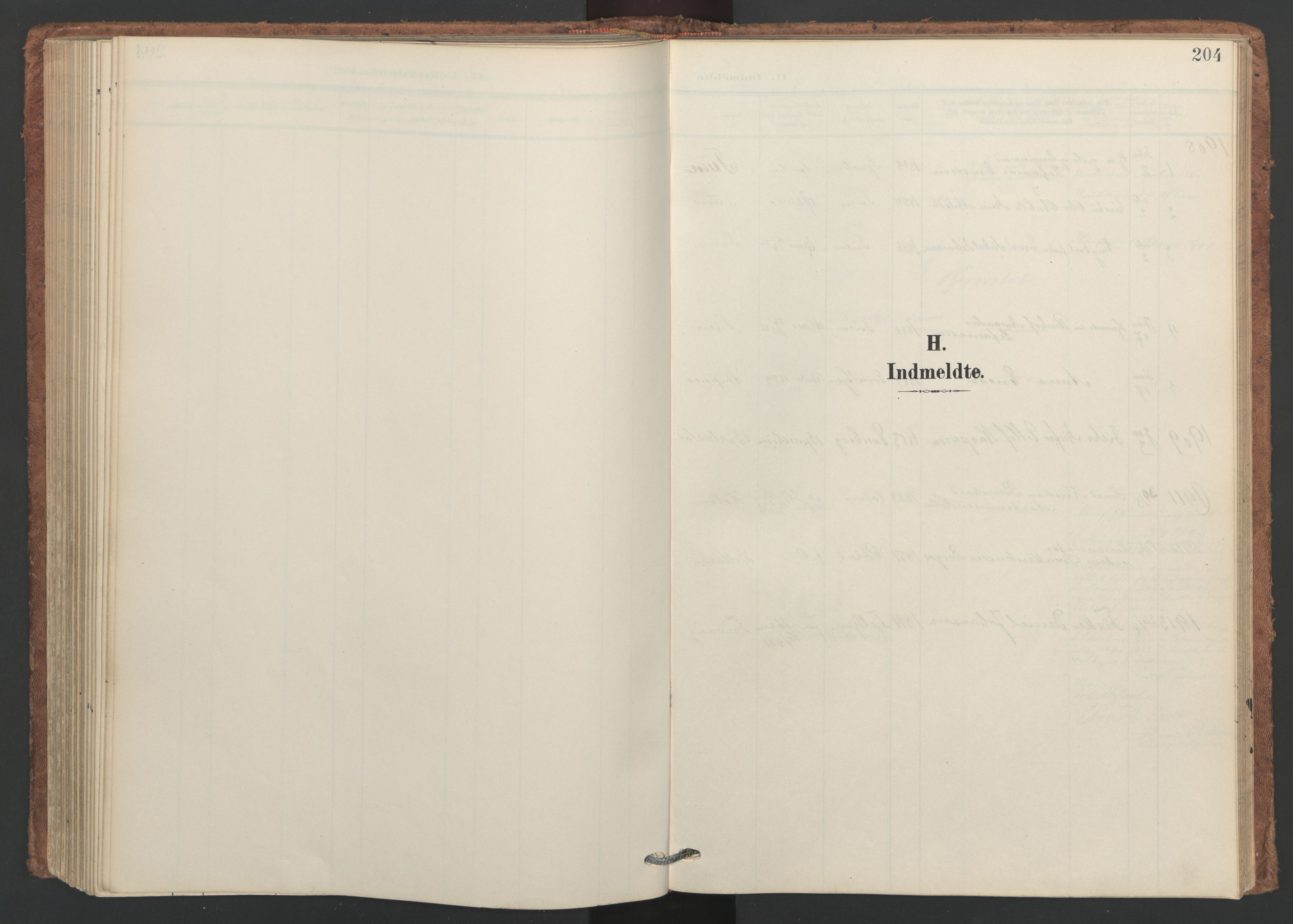 Ministerialprotokoller, klokkerbøker og fødselsregistre - Nordland, SAT/A-1459/893/L1339: Parish register (official) no. 893A11, 1904-1914, p. 204
