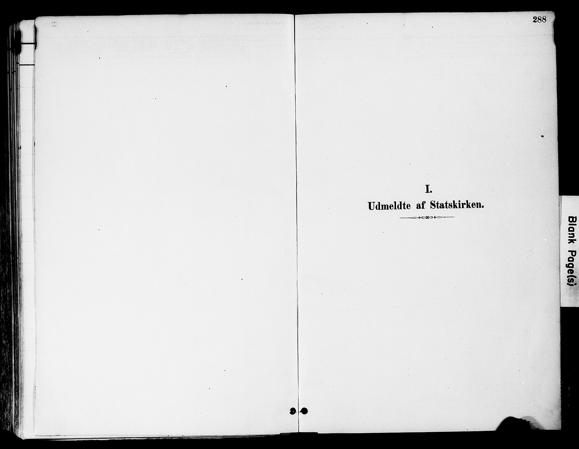 Tynset prestekontor, SAH/PREST-058/H/Ha/Haa/L0022: Parish register (official) no. 22, 1880-1899, p. 288