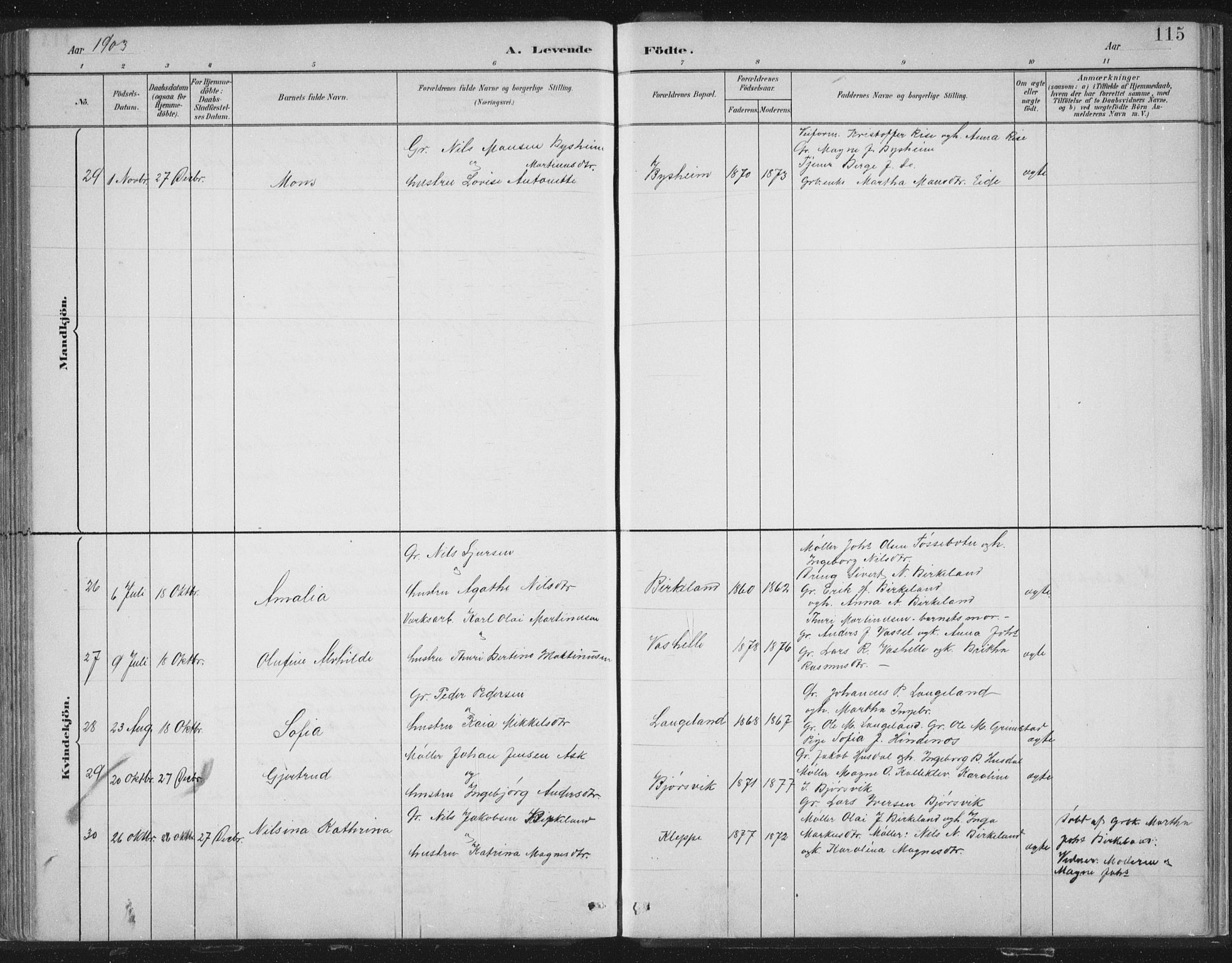 Hosanger sokneprestembete, AV/SAB-A-75801/H/Hab: Parish register (copy) no. A 3 I, 1882-1903, p. 115