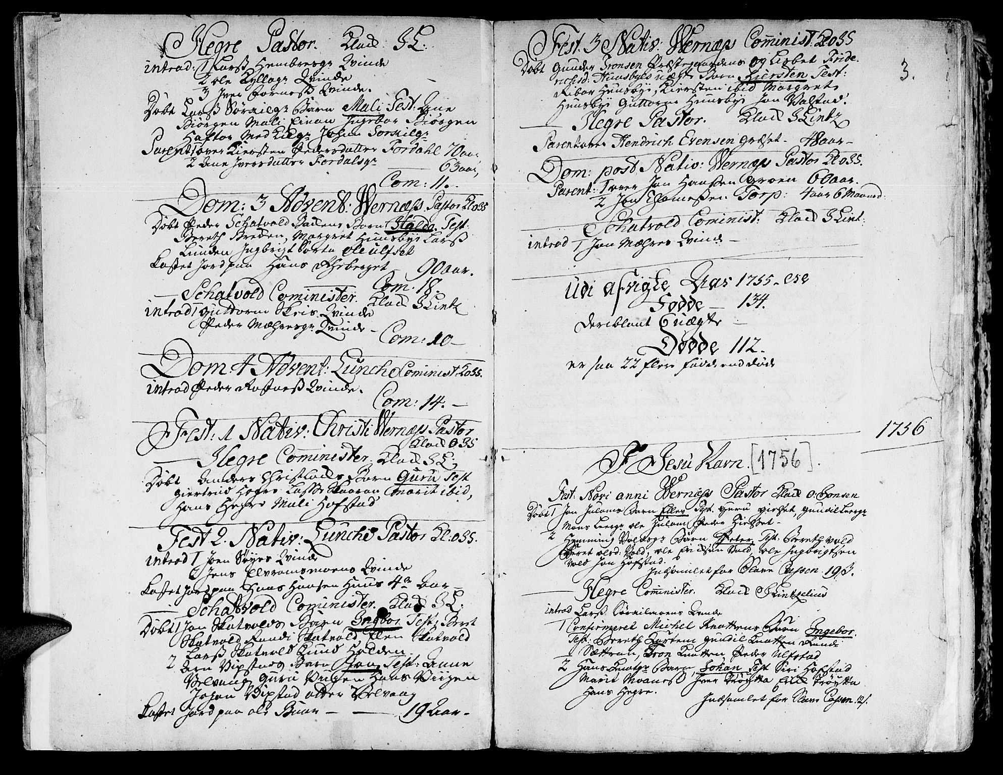 Ministerialprotokoller, klokkerbøker og fødselsregistre - Nord-Trøndelag, SAT/A-1458/709/L0057: Parish register (official) no. 709A05, 1755-1780, p. 3