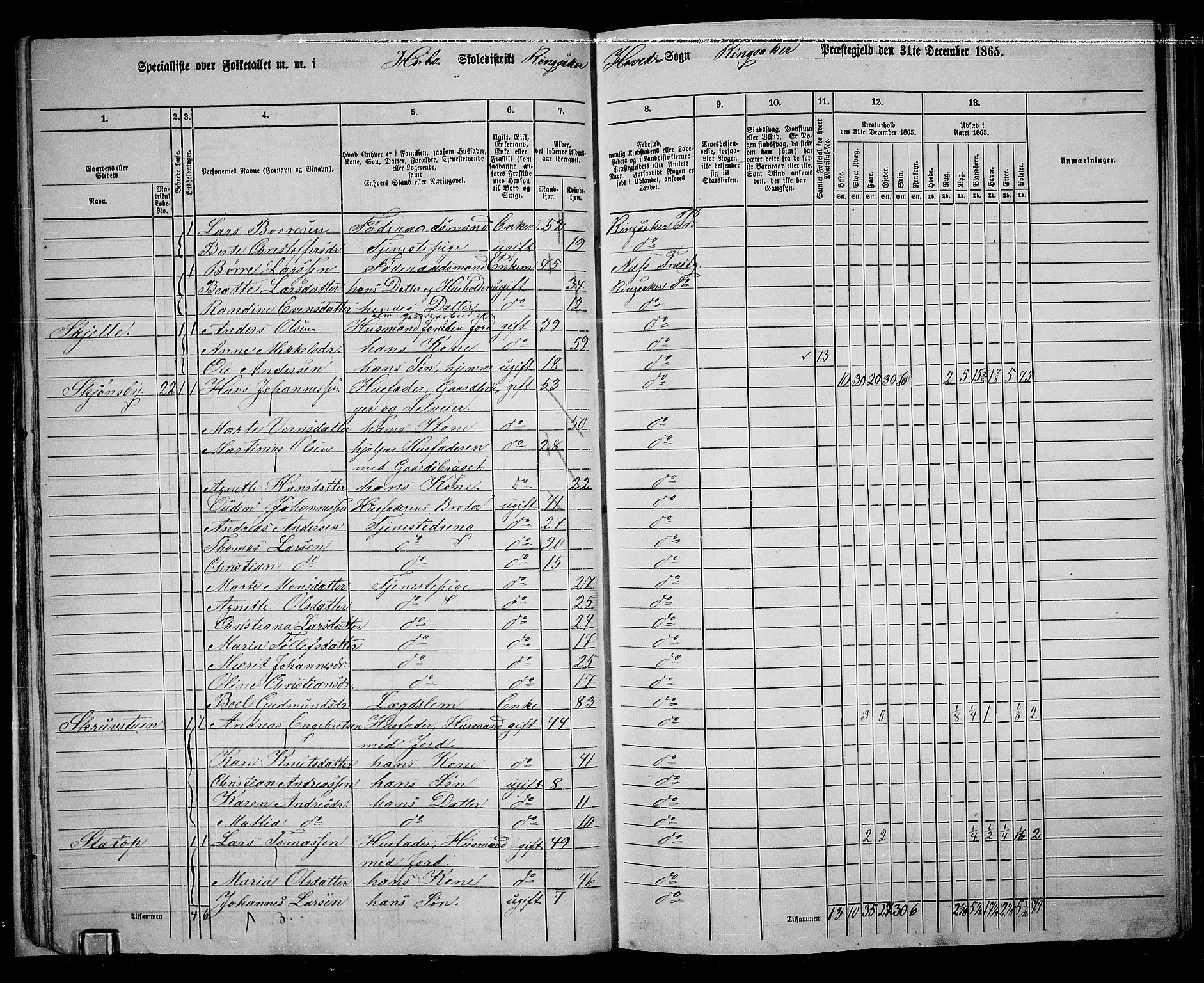 RA, 1865 census for Ringsaker, 1865, p. 41