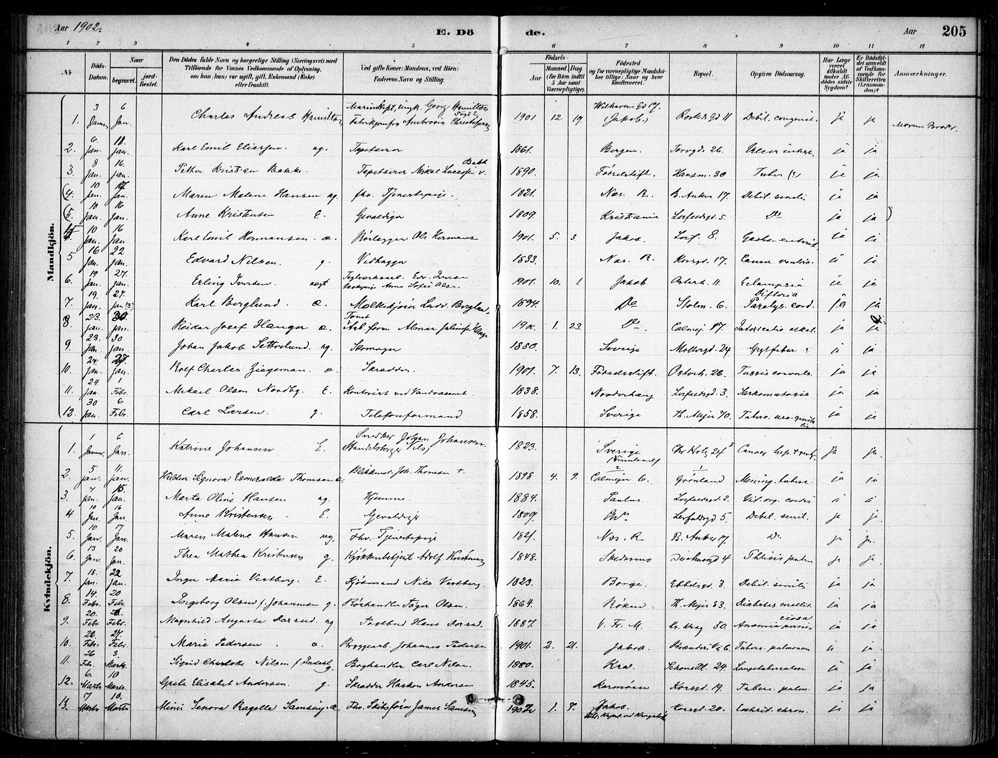 Jakob prestekontor Kirkebøker, SAO/A-10850/F/Fa/L0007: Parish register (official) no. 7, 1880-1905, p. 205