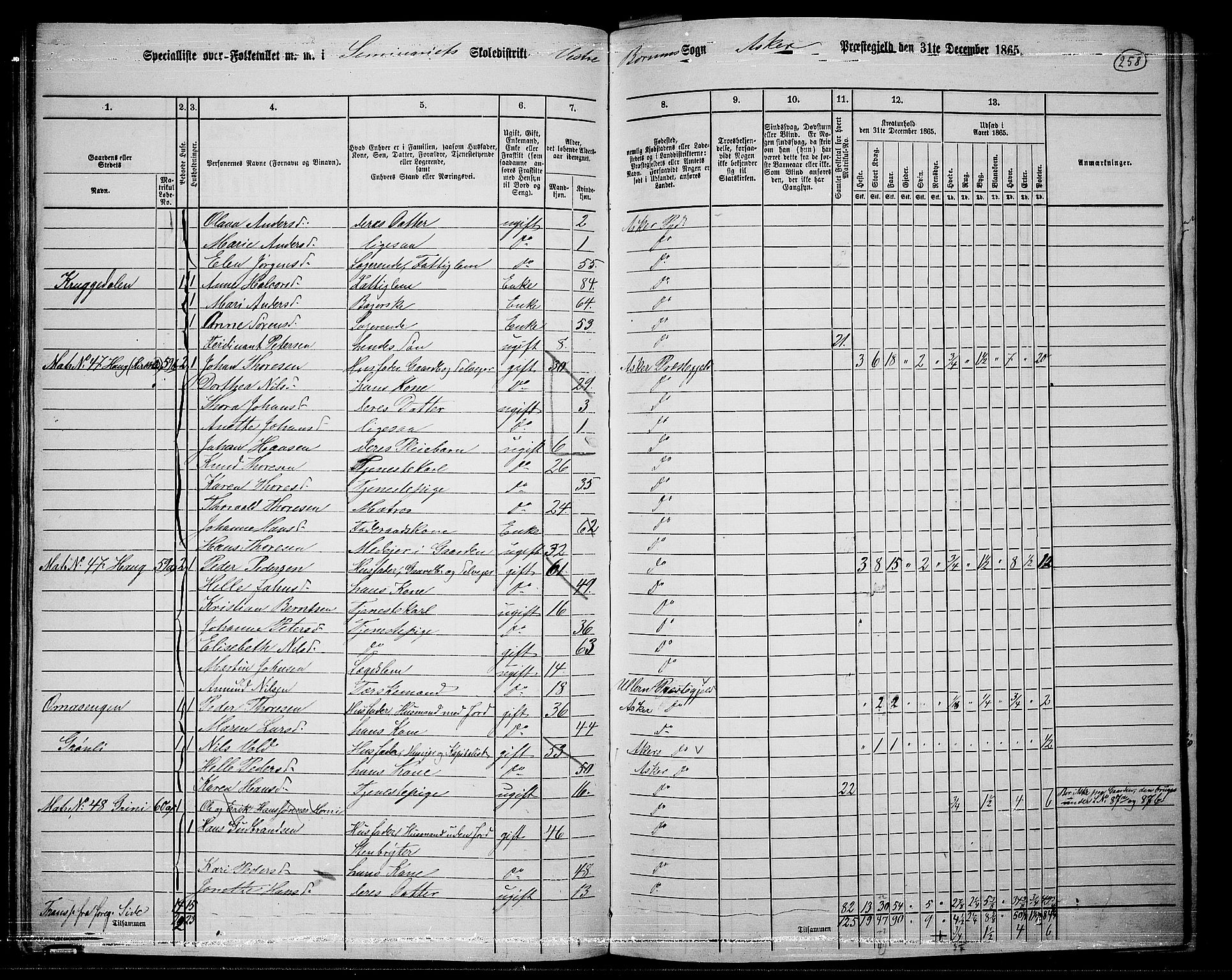 RA, 1865 census for Asker, 1865, p. 246