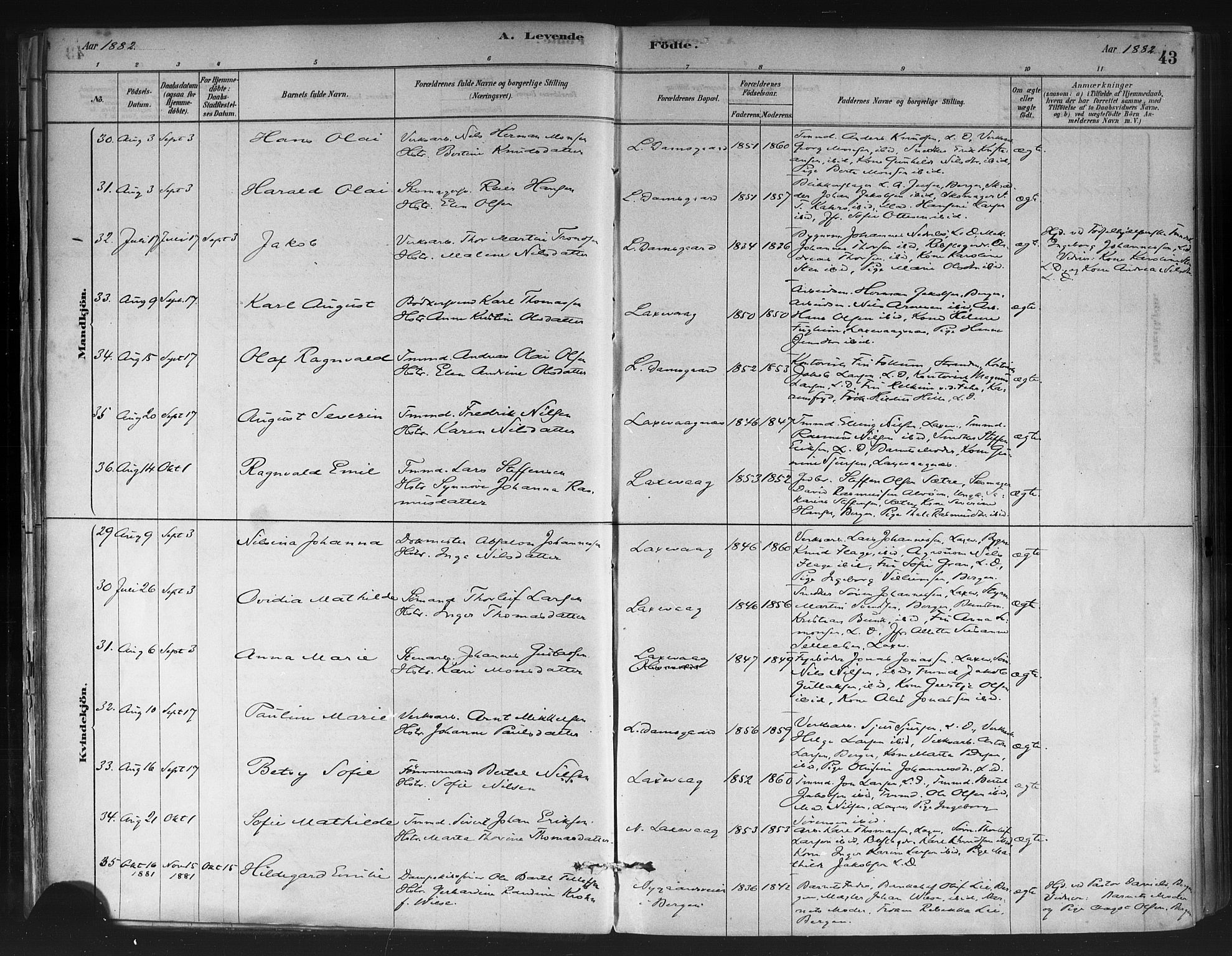 Askøy Sokneprestembete, SAB/A-74101/H/Ha/Haa/Haae/L0002: Parish register (official) no. E 2, 1878-1891, p. 43