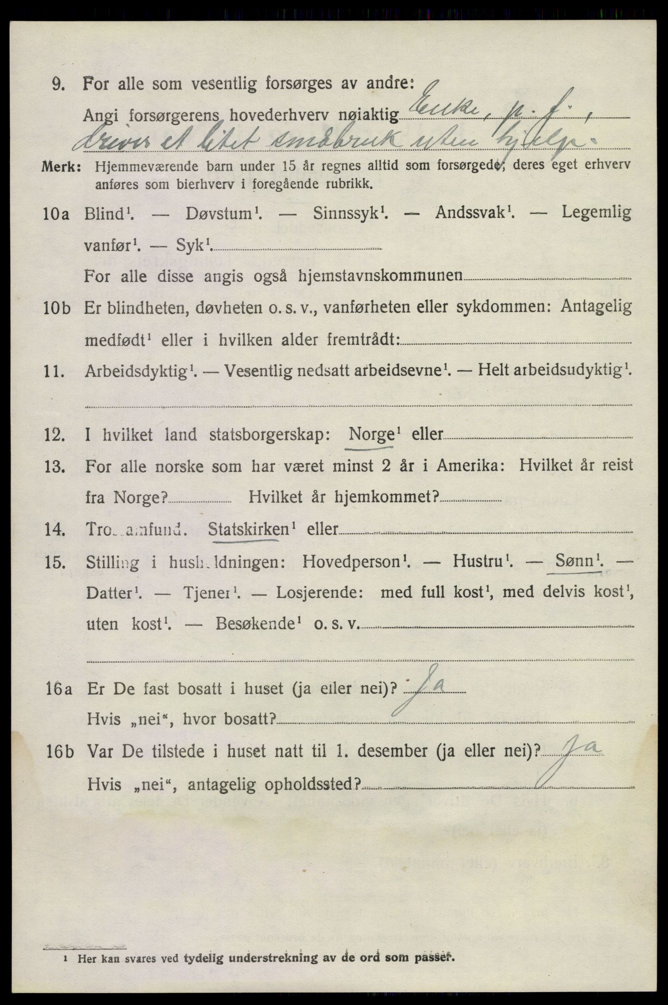 SAKO, 1920 census for Nøtterøy, 1920, p. 11134