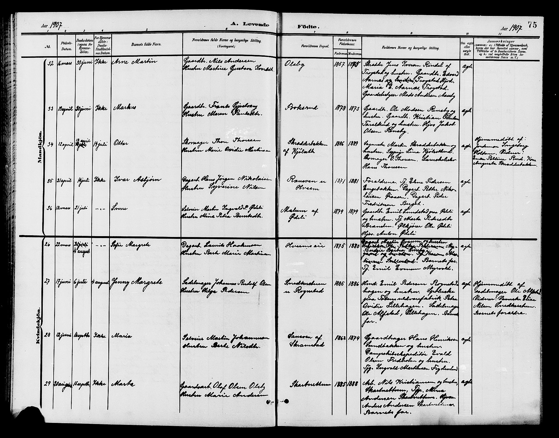 Østre Toten prestekontor, AV/SAH-PREST-104/H/Ha/Hab/L0007: Parish register (copy) no. 7, 1901-1912, p. 75