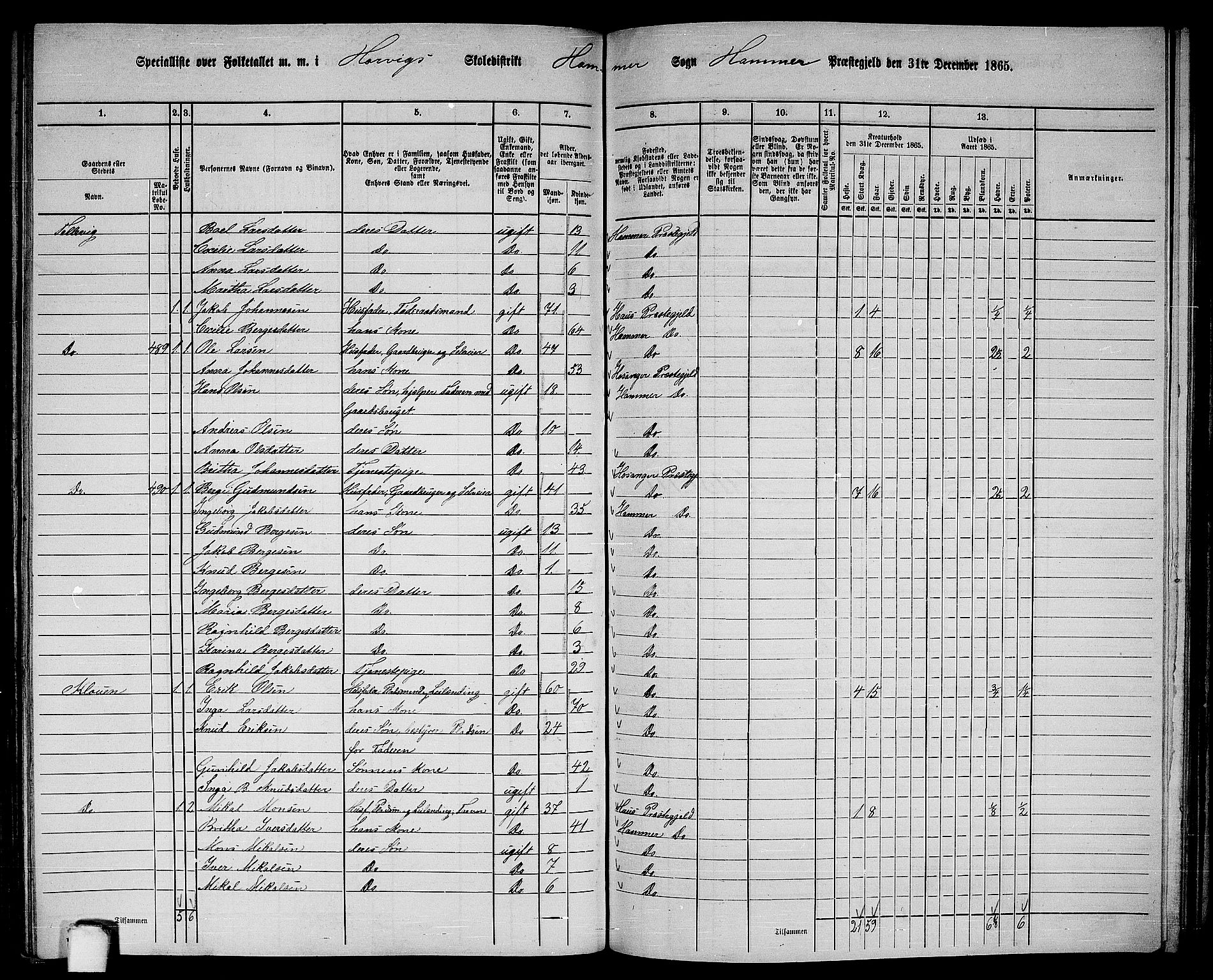 RA, 1865 census for Hamre, 1865, p. 172