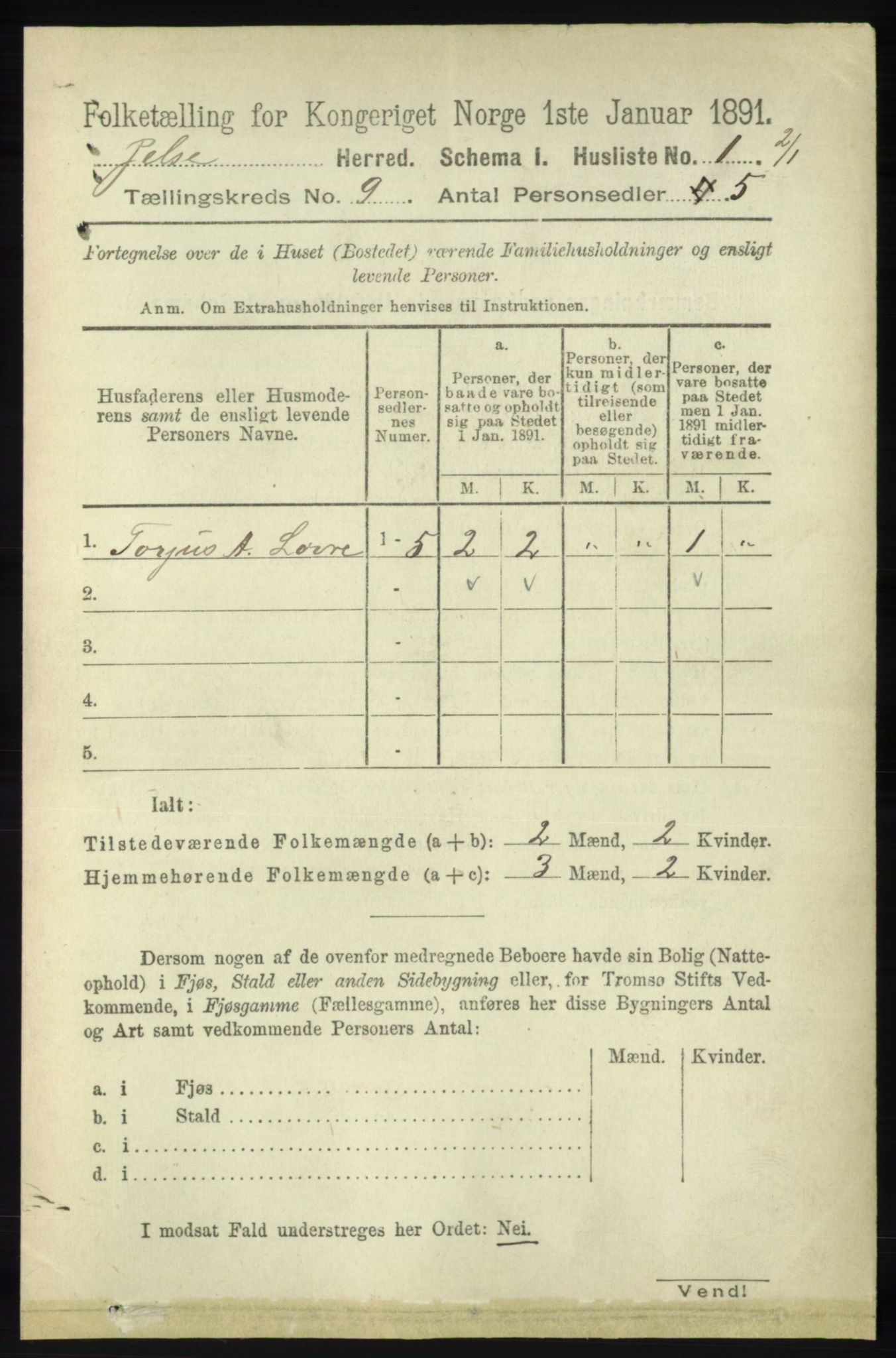 RA, 1891 census for 1138 Jelsa, 1891, p. 2003