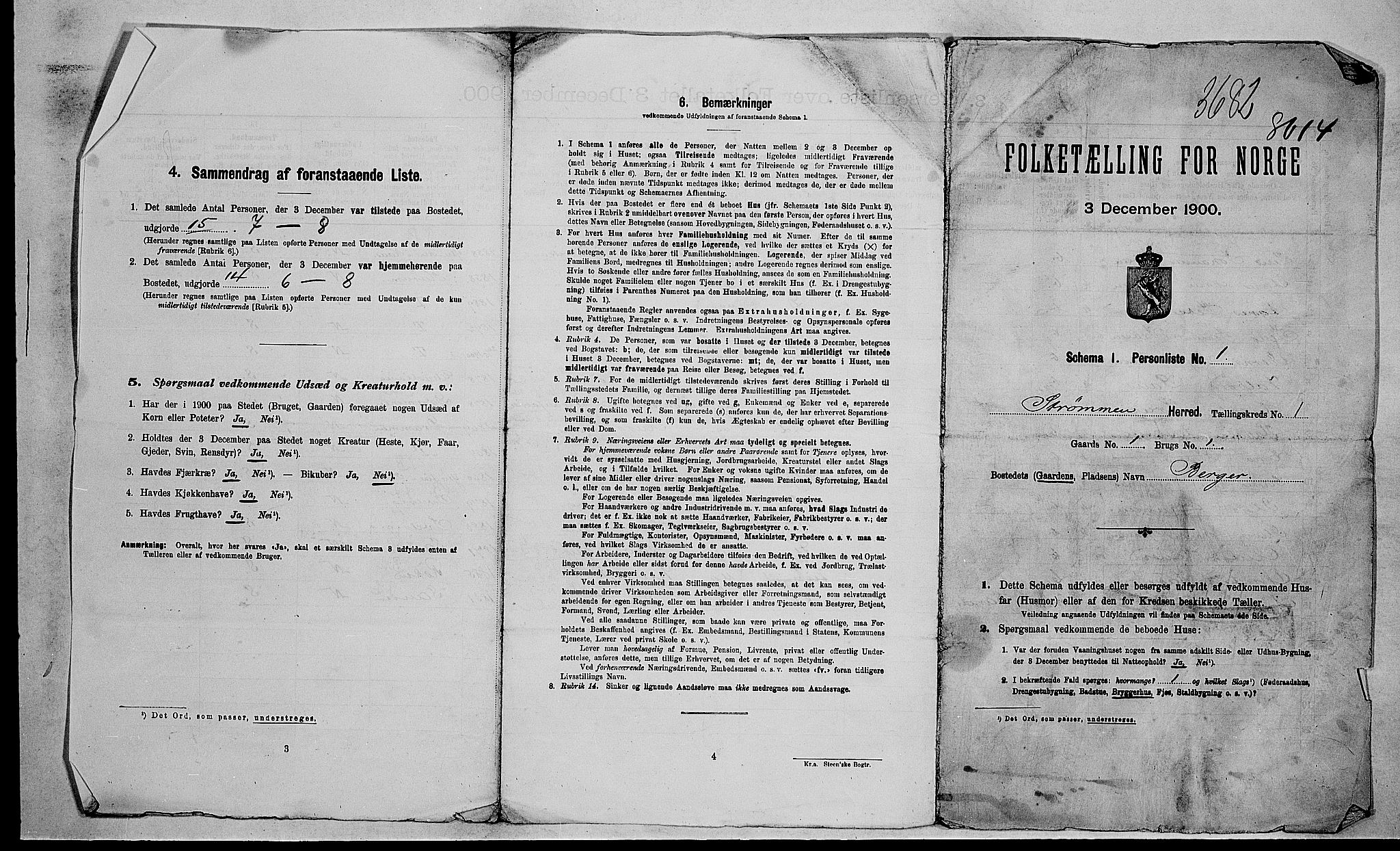 RA, 1900 census for Strømm, 1900, p. 15