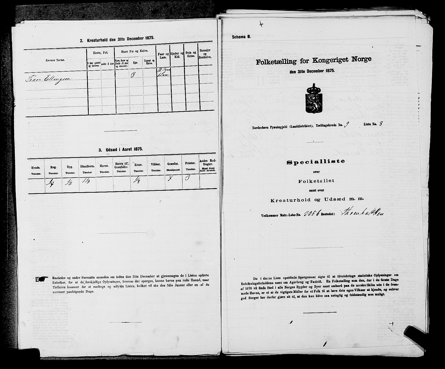 SAKO, 1875 census for 0613L Norderhov/Norderhov, Haug og Lunder, 1875, p. 1697