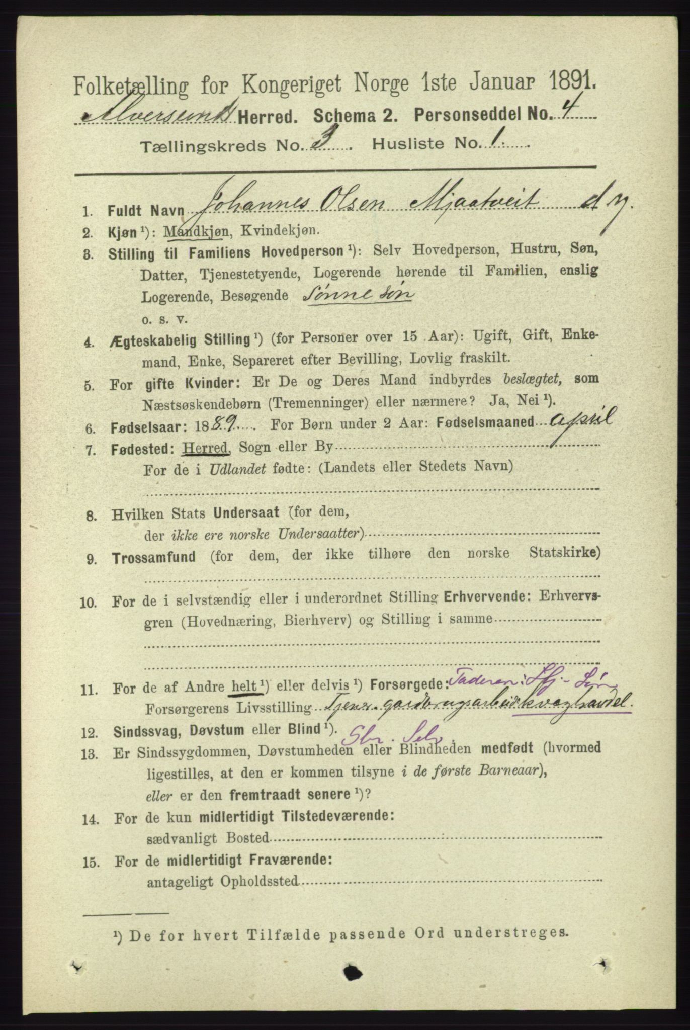 RA, 1891 census for 1257 Alversund, 1891, p. 1035