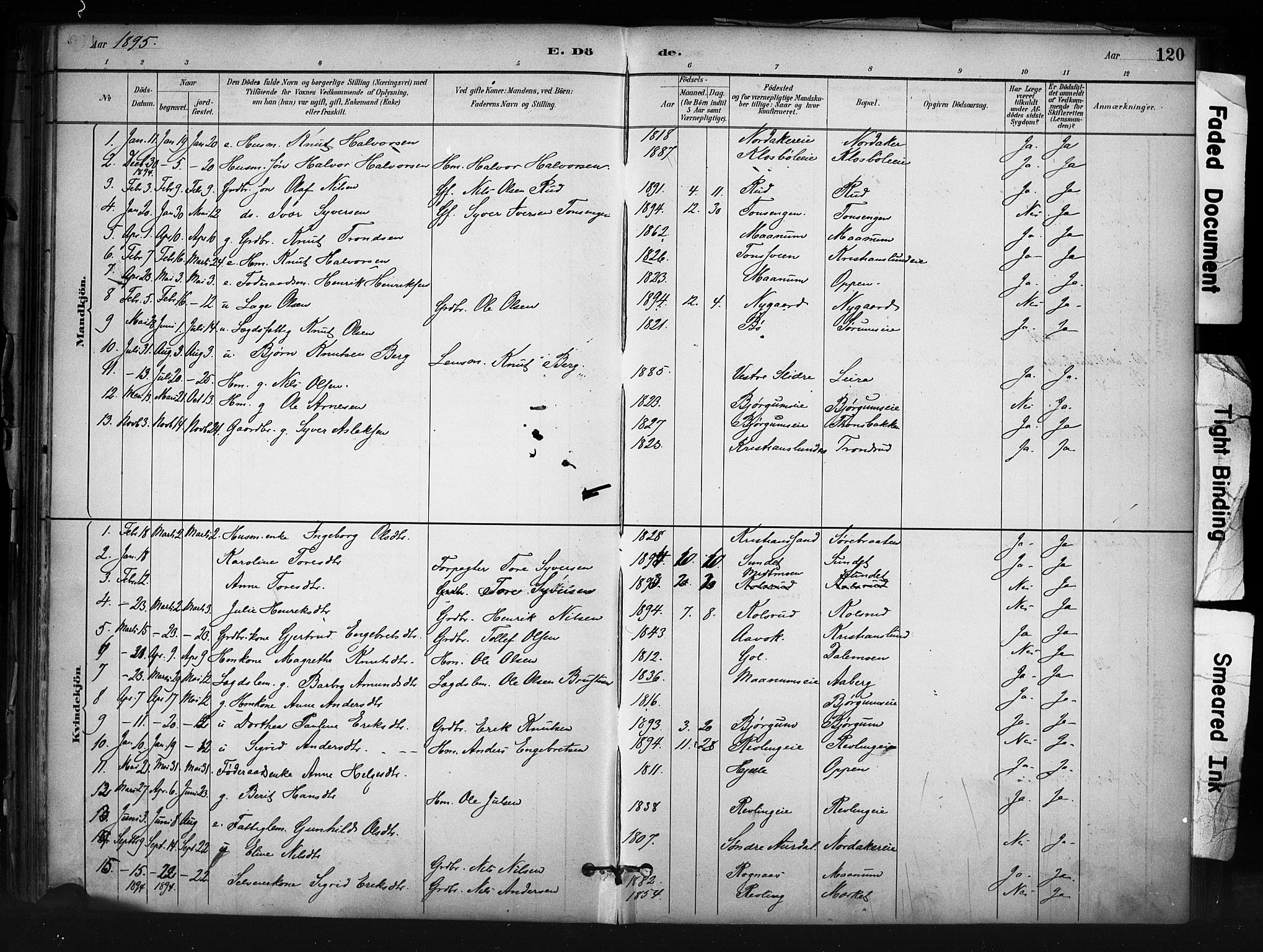 Nord-Aurdal prestekontor, AV/SAH-PREST-132/H/Ha/Haa/L0013: Parish register (official) no. 13, 1883-1895, p. 120