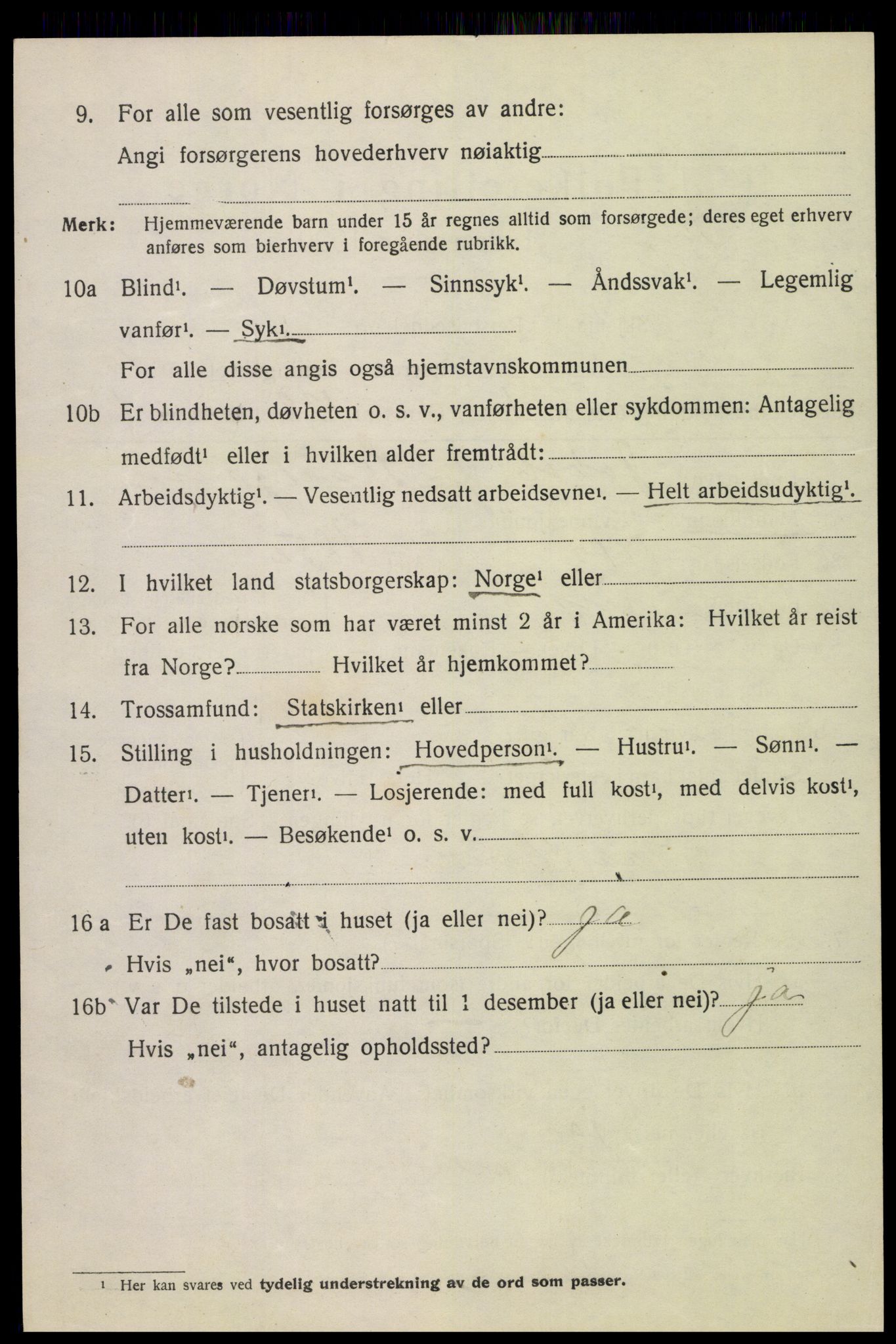 SAH, 1920 census for Lesja, 1920, p. 6133