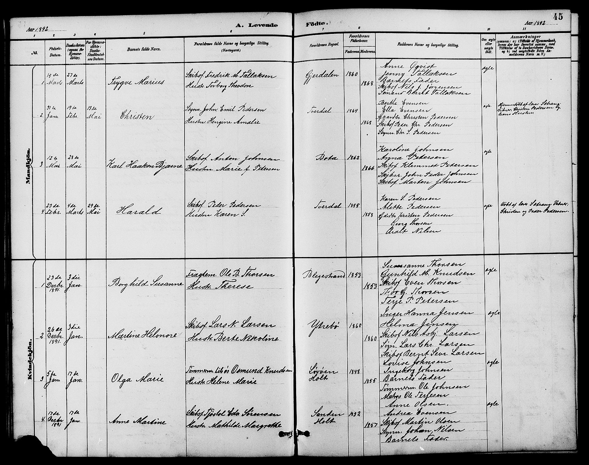 Dypvåg sokneprestkontor, SAK/1111-0007/F/Fb/Fbb/L0004: Parish register (copy) no. B 4, 1887-1905, p. 45