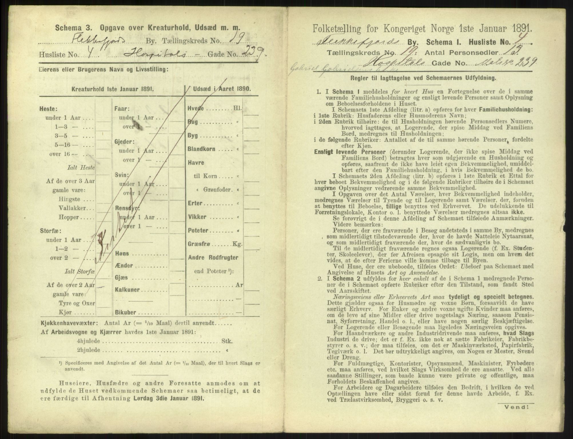 RA, 1891 census for 1004 Flekkefjord, 1891, p. 666