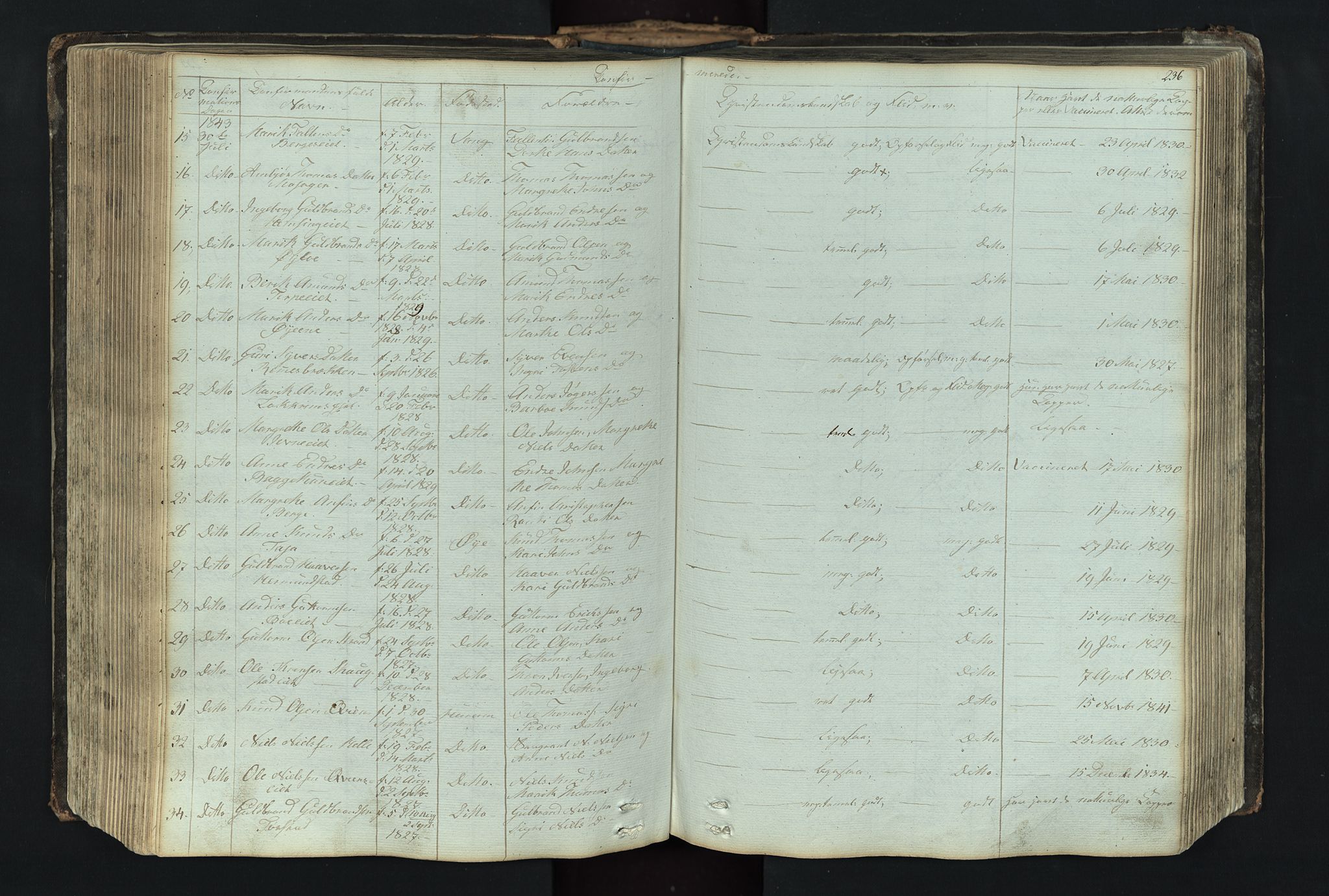 Vang prestekontor, Valdres, SAH/PREST-140/H/Hb/L0004: Parish register (copy) no. 4, 1835-1892, p. 236