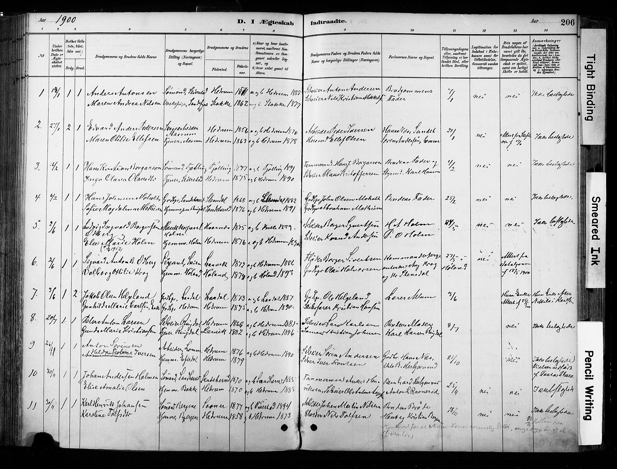 Hedrum kirkebøker, AV/SAKO-A-344/F/Fa/L0009: Parish register (official) no. I 9, 1881-1903, p. 206