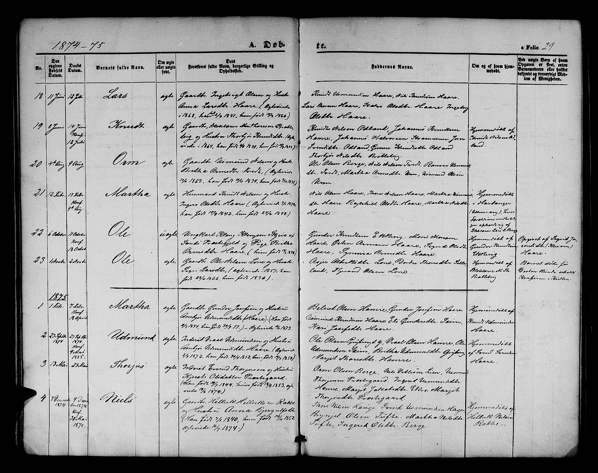 Røldal sokneprestembete, SAB/A-100247: Parish register (copy) no. A 2, 1861-1886, p. 29