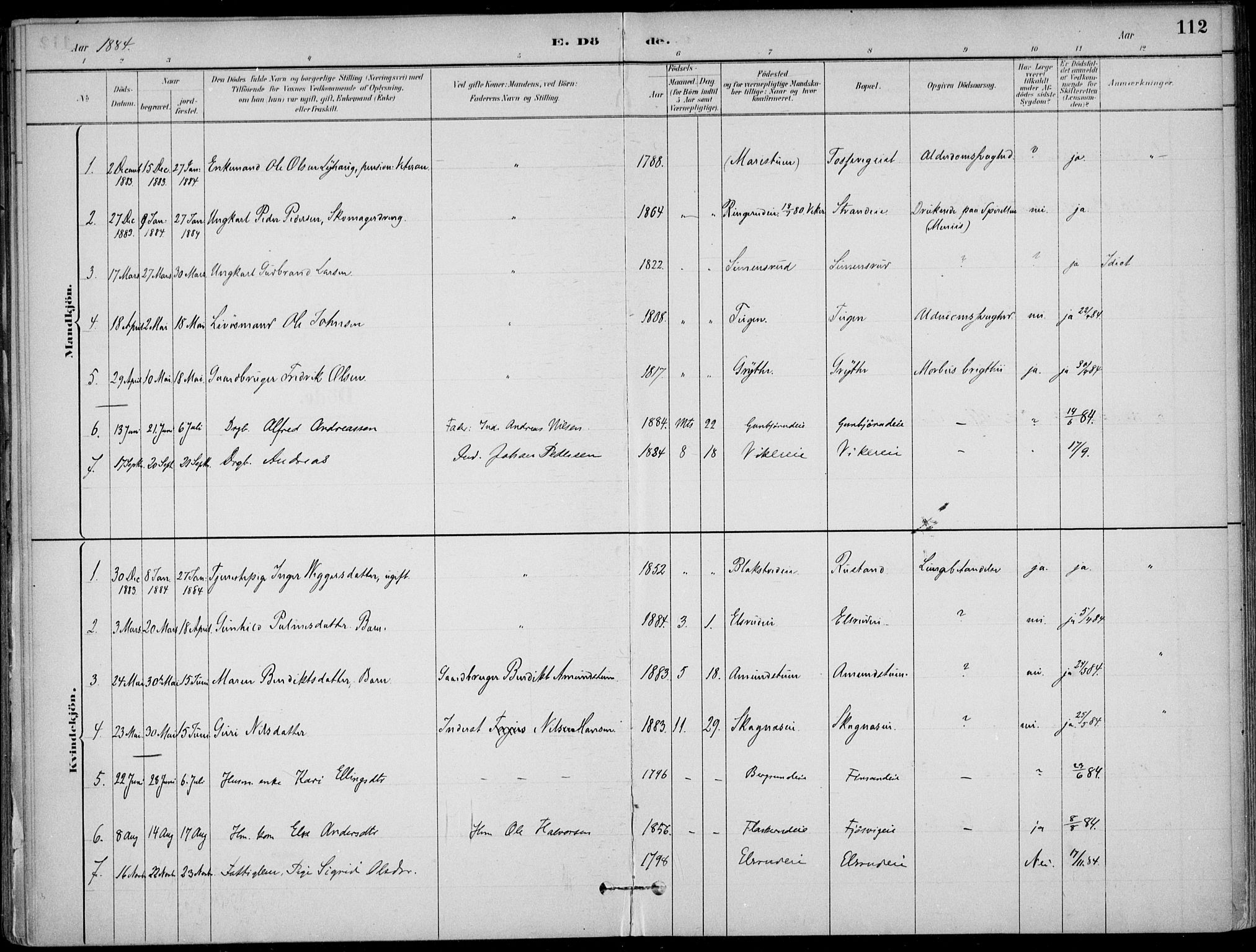 Ådal kirkebøker, AV/SAKO-A-248/F/Fa/L0003: Parish register (official) no. I 3, 1884-1903, p. 112