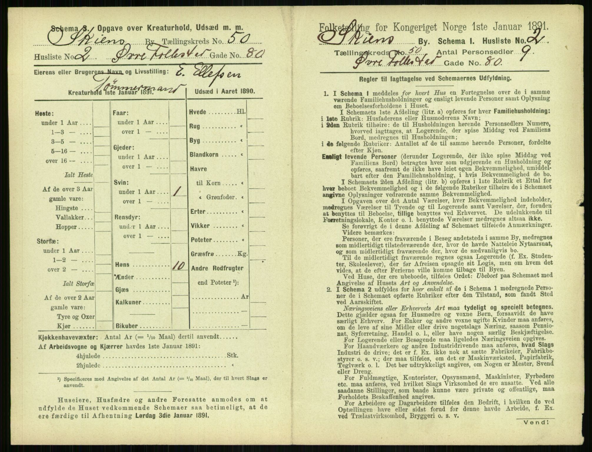 RA, 1891 census for 0806 Skien, 1891, p. 1982