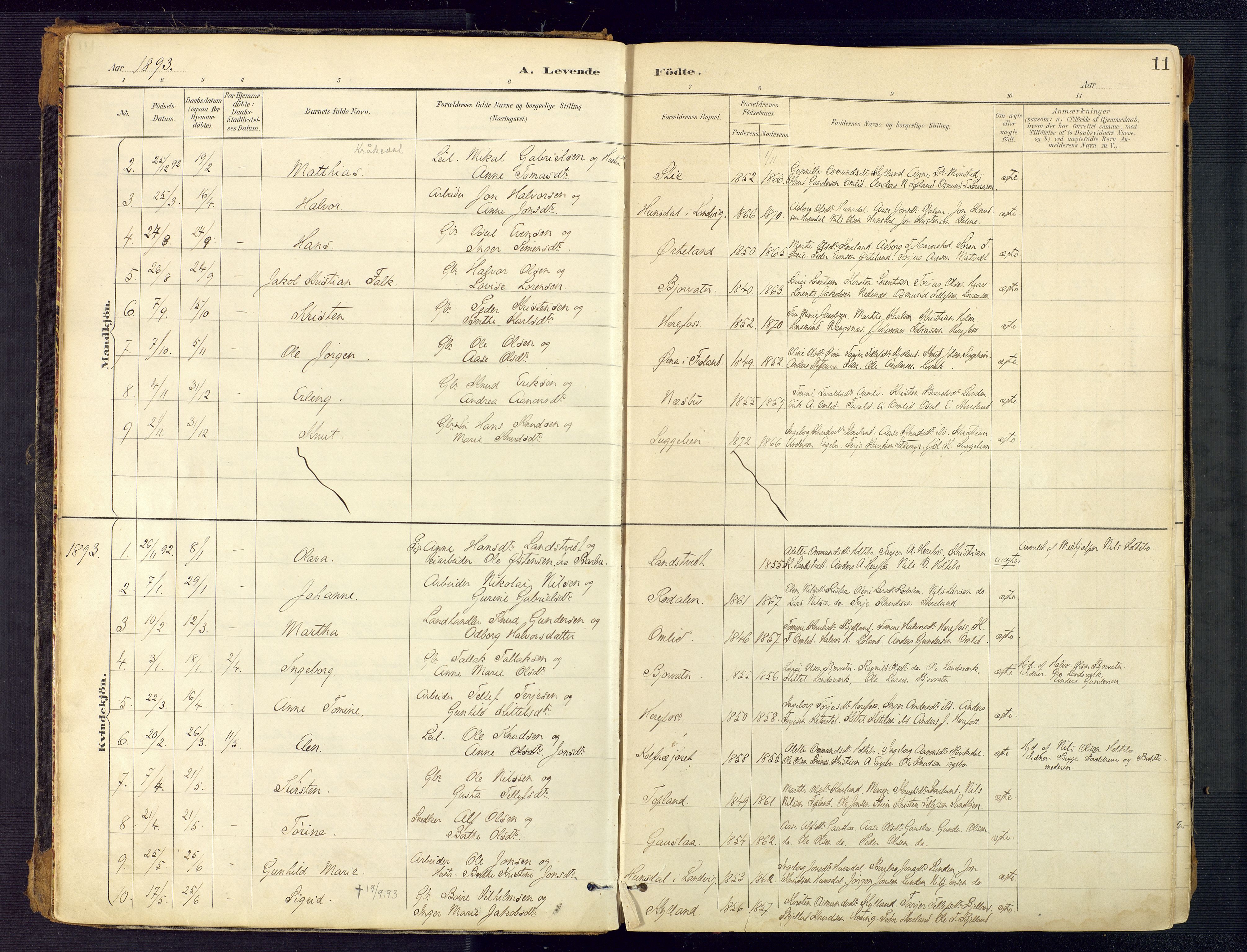 Herefoss sokneprestkontor, SAK/1111-0019/F/Fa/Faa/L0003: Parish register (official) no. A 3, 1887-1930, p. 11