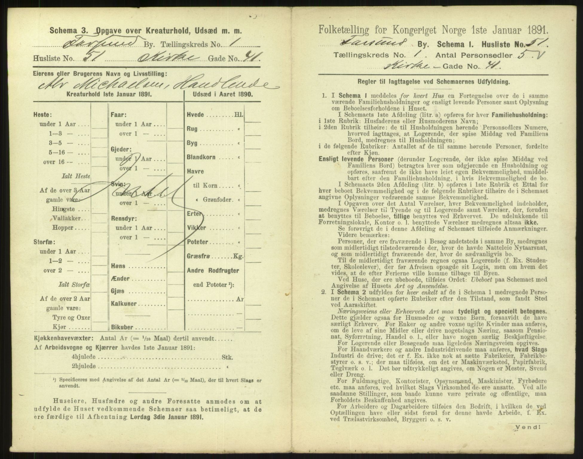 RA, 1891 census for 1003 Farsund, 1891, p. 118