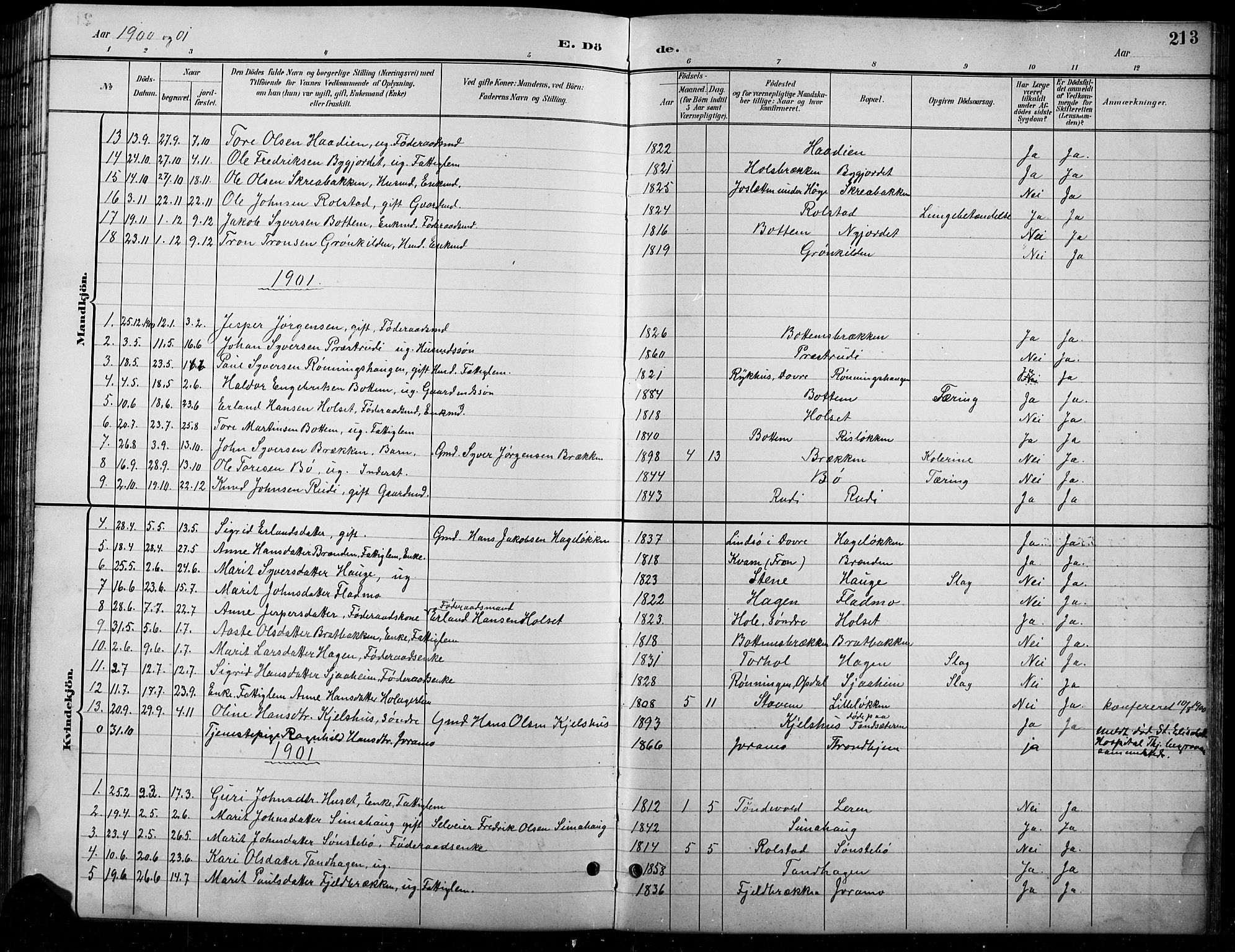 Lesja prestekontor, SAH/PREST-068/H/Ha/Hab/L0007: Parish register (copy) no. 7, 1895-1919, p. 213