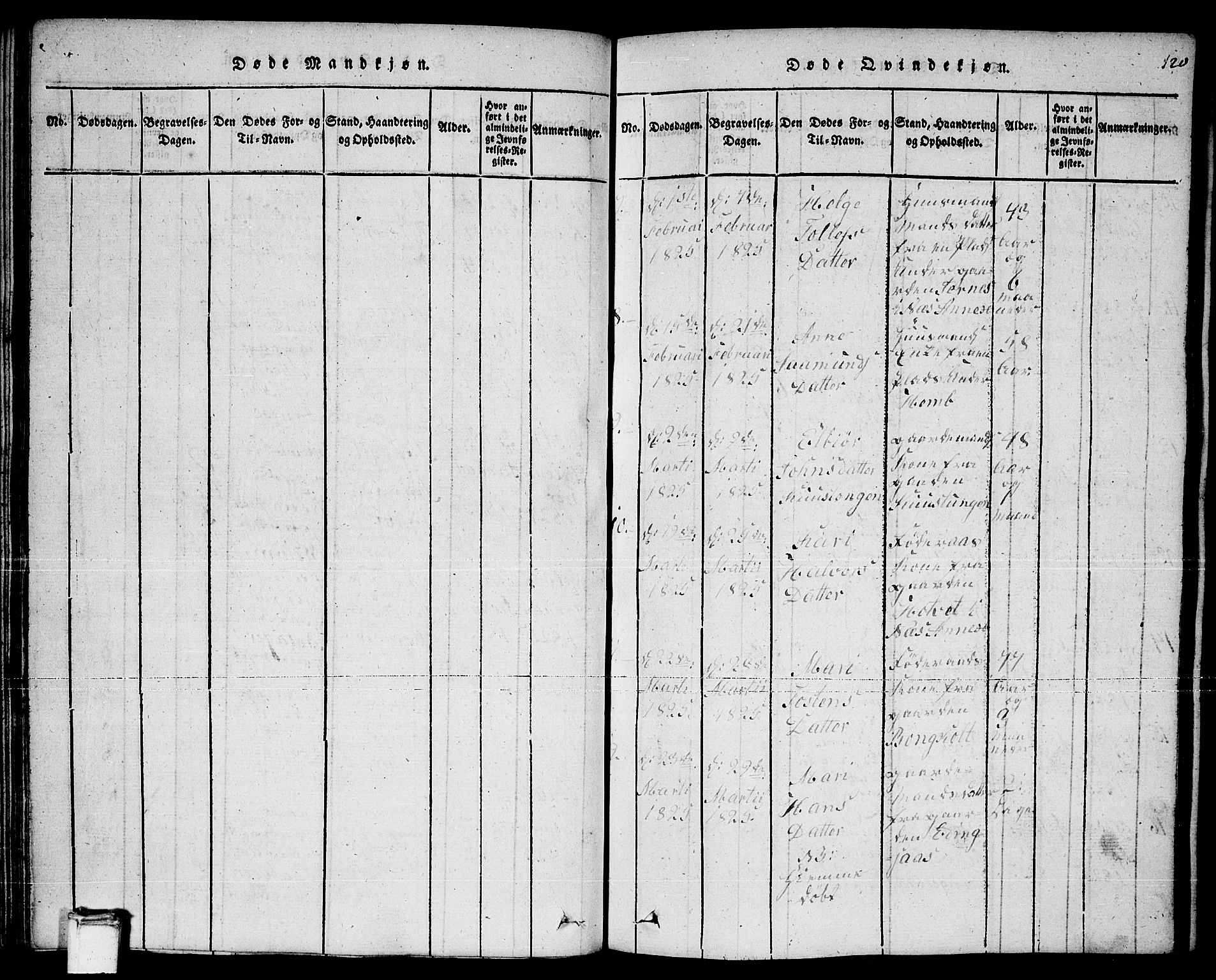 Sauherad kirkebøker, AV/SAKO-A-298/F/Fa/L0005: Parish register (official) no. I 5, 1815-1829, p. 120