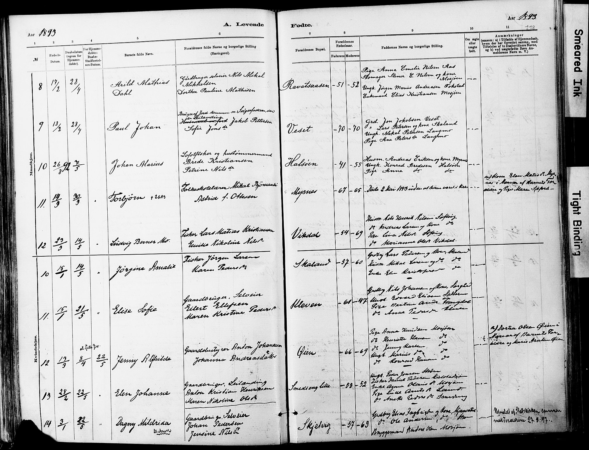 Ministerialprotokoller, klokkerbøker og fødselsregistre - Nordland, AV/SAT-A-1459/820/L0295: Parish register (official) no. 820A16, 1880-1896, p. 118