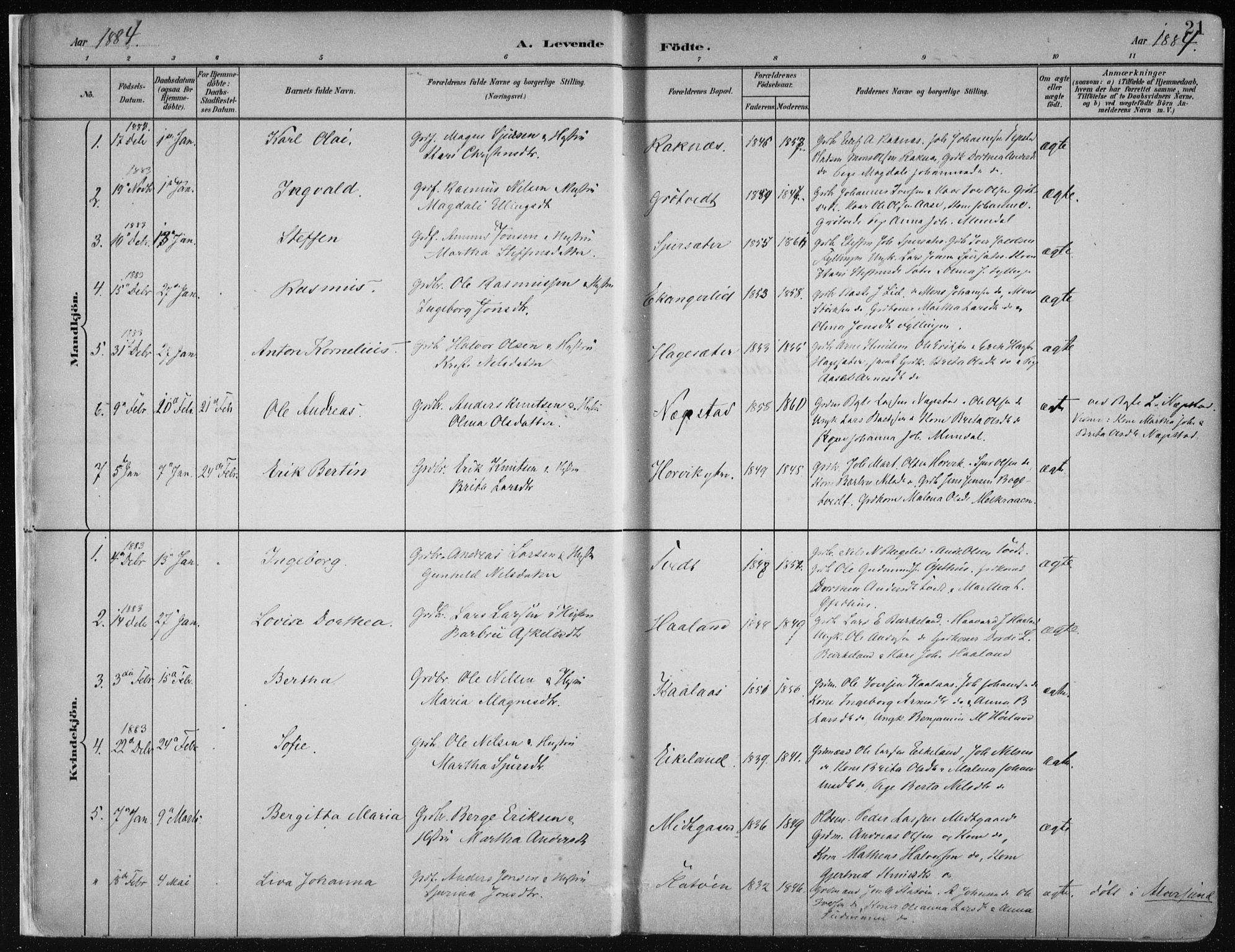 Hamre sokneprestembete, SAB/A-75501/H/Ha/Haa/Haab/L0001: Parish register (official) no. B  1, 1882-1905, p. 21