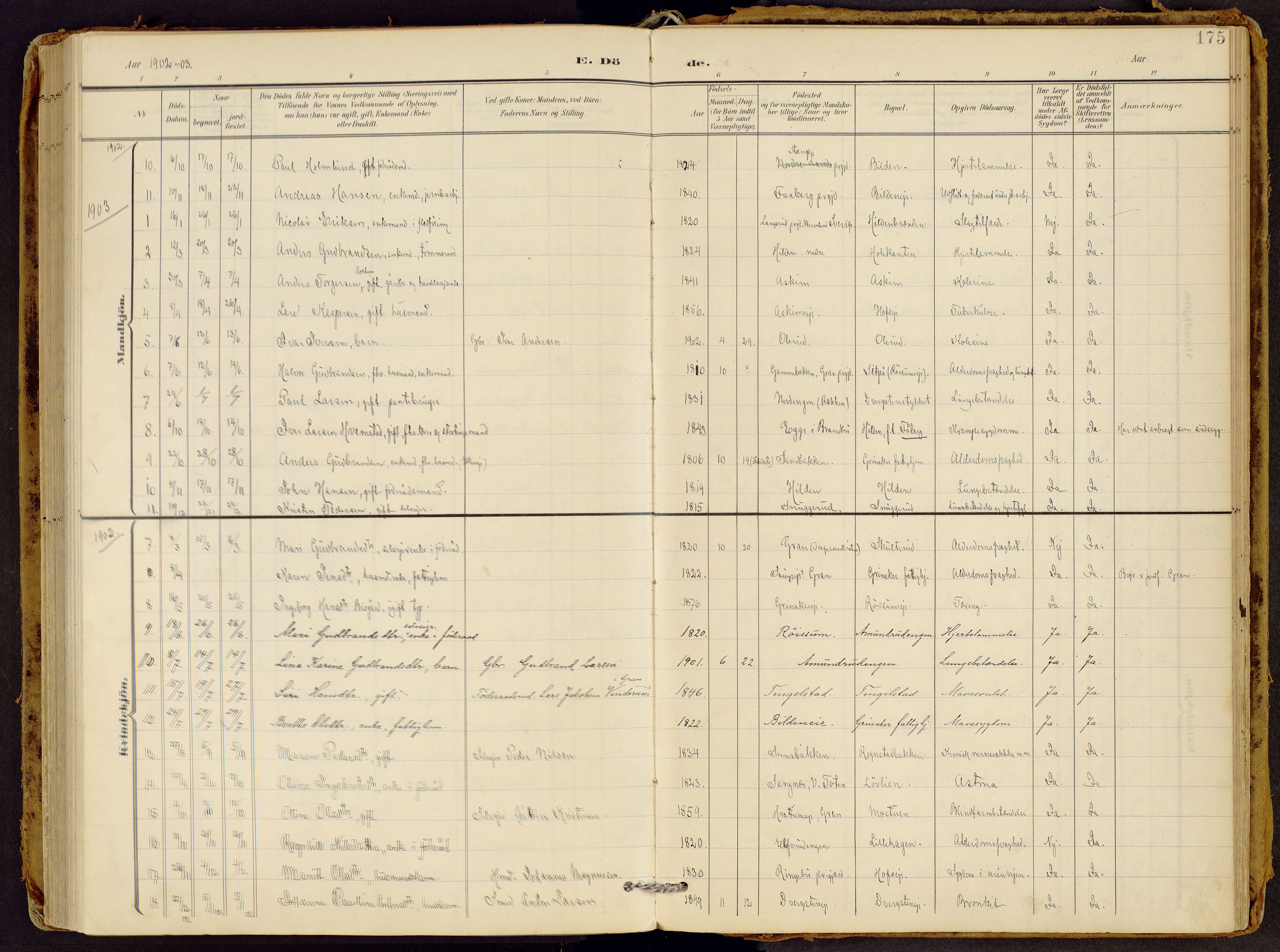 Brandbu prestekontor, SAH/PREST-114/H/Ha/Haa/L0002: Parish register (official) no. 2, 1899-1914, p. 175