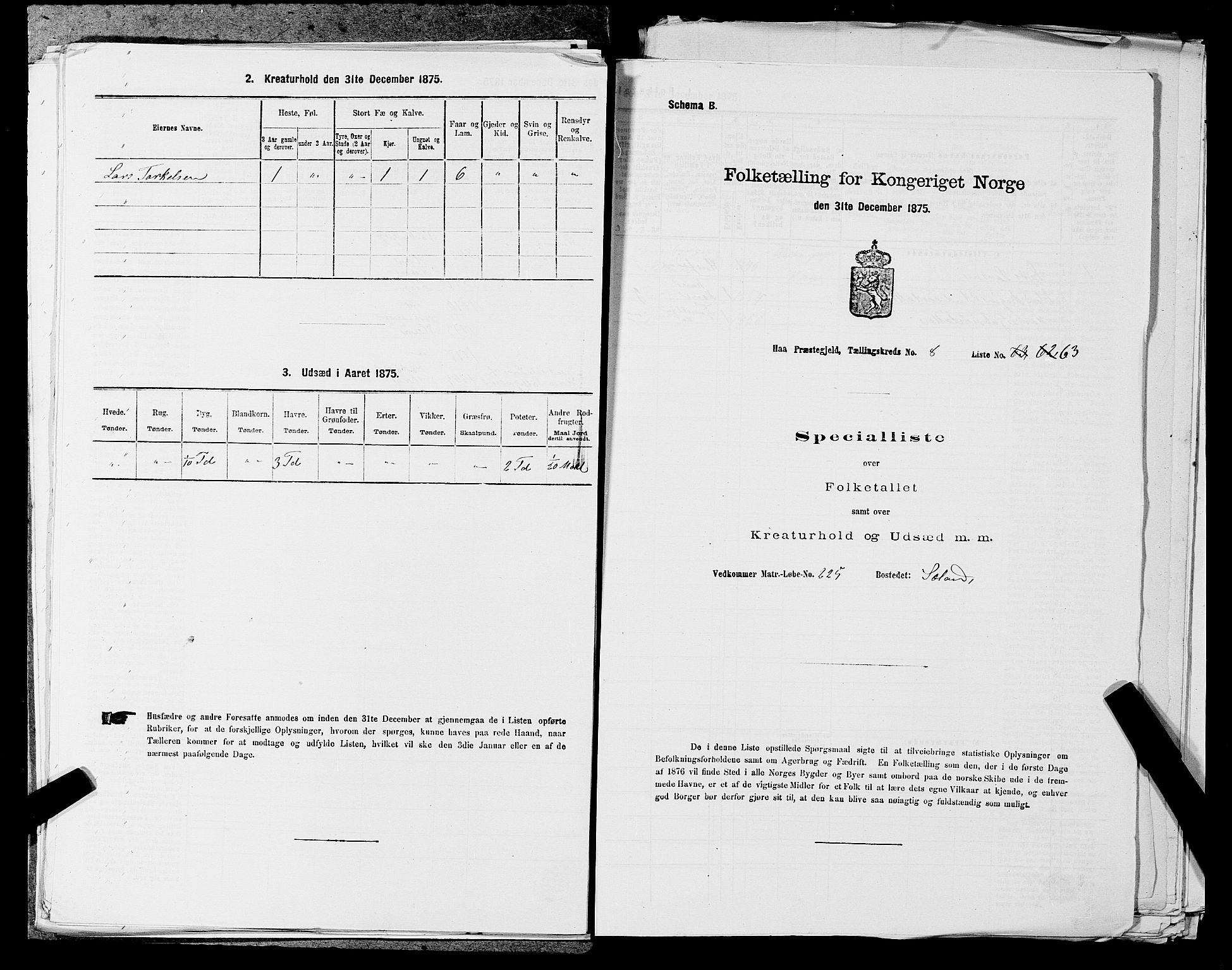 SAST, 1875 census for 1119P Hå, 1875, p. 950