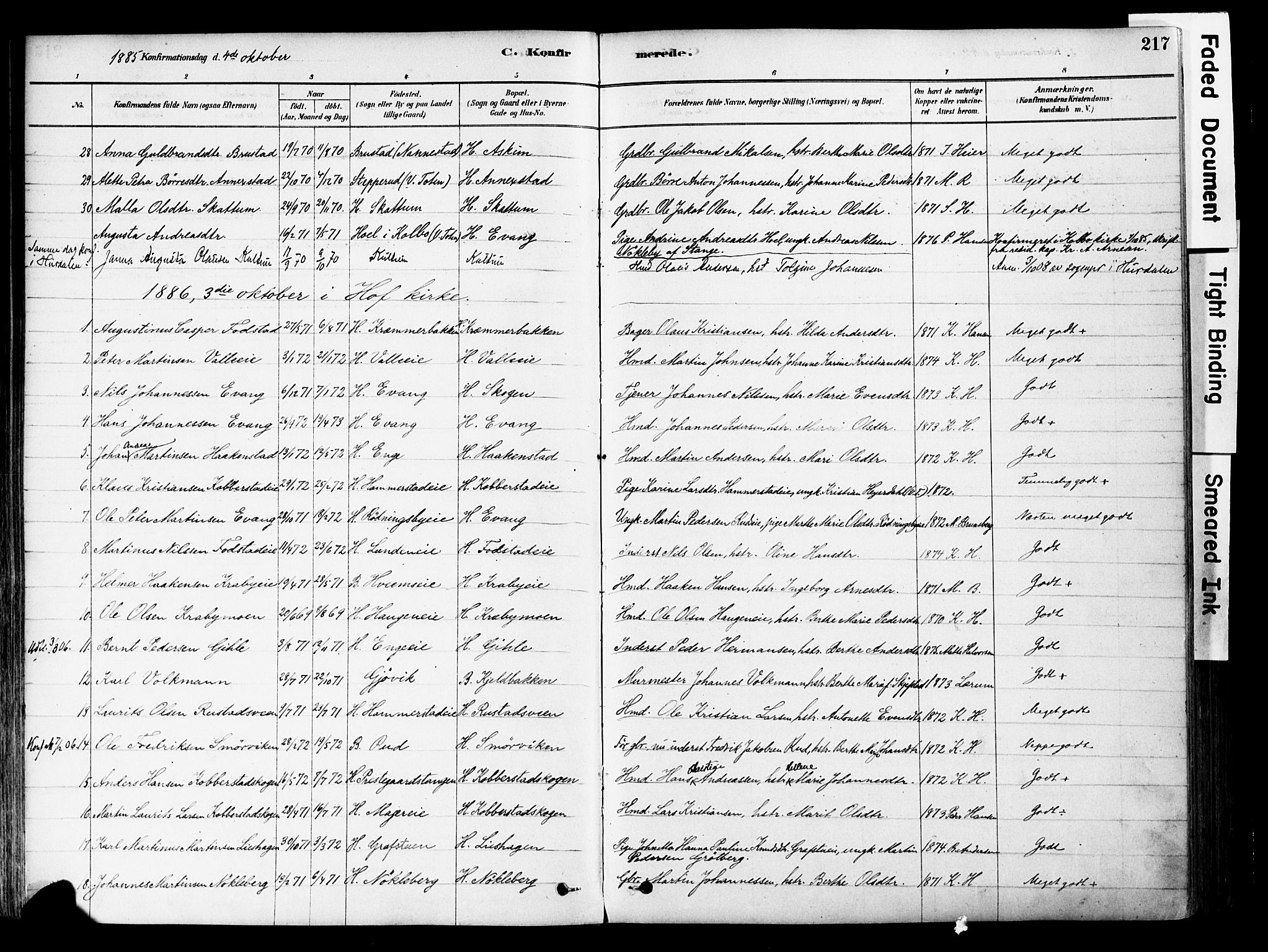 Østre Toten prestekontor, SAH/PREST-104/H/Ha/Haa/L0006: Parish register (official) no. 6 /1, 1878-1896, p. 217