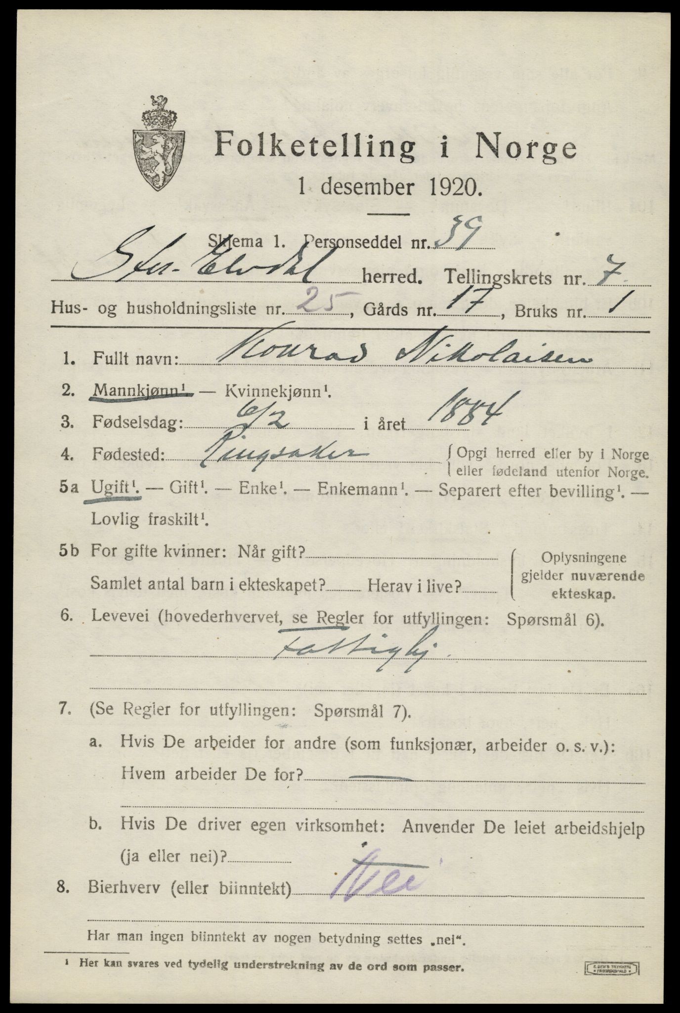 SAH, 1920 census for Stor-Elvdal, 1920, p. 6124