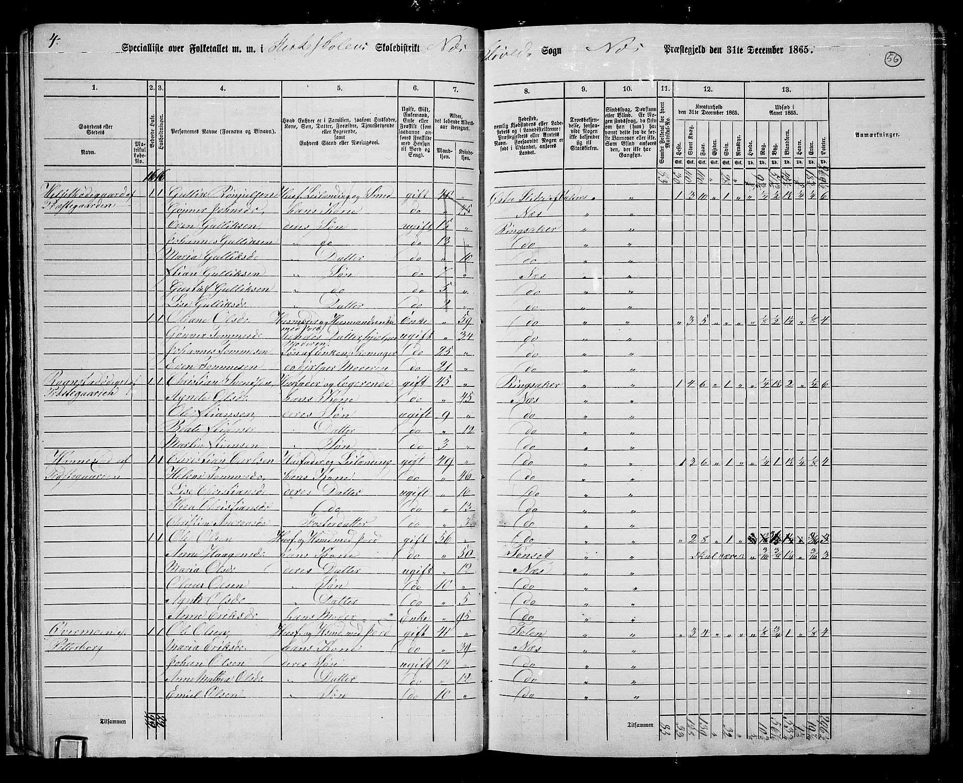 RA, 1865 census for Nes, 1865, p. 49