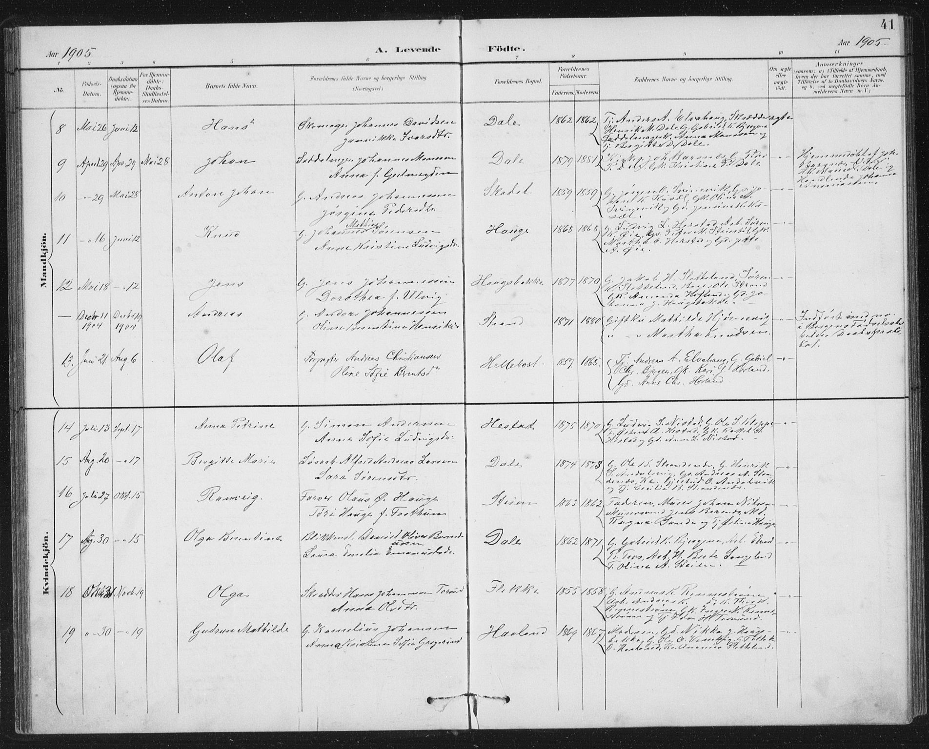 Fjaler sokneprestembete, AV/SAB-A-79801/H/Hab/Habc/L0003: Parish register (copy) no. C 3, 1894-1917, p. 41