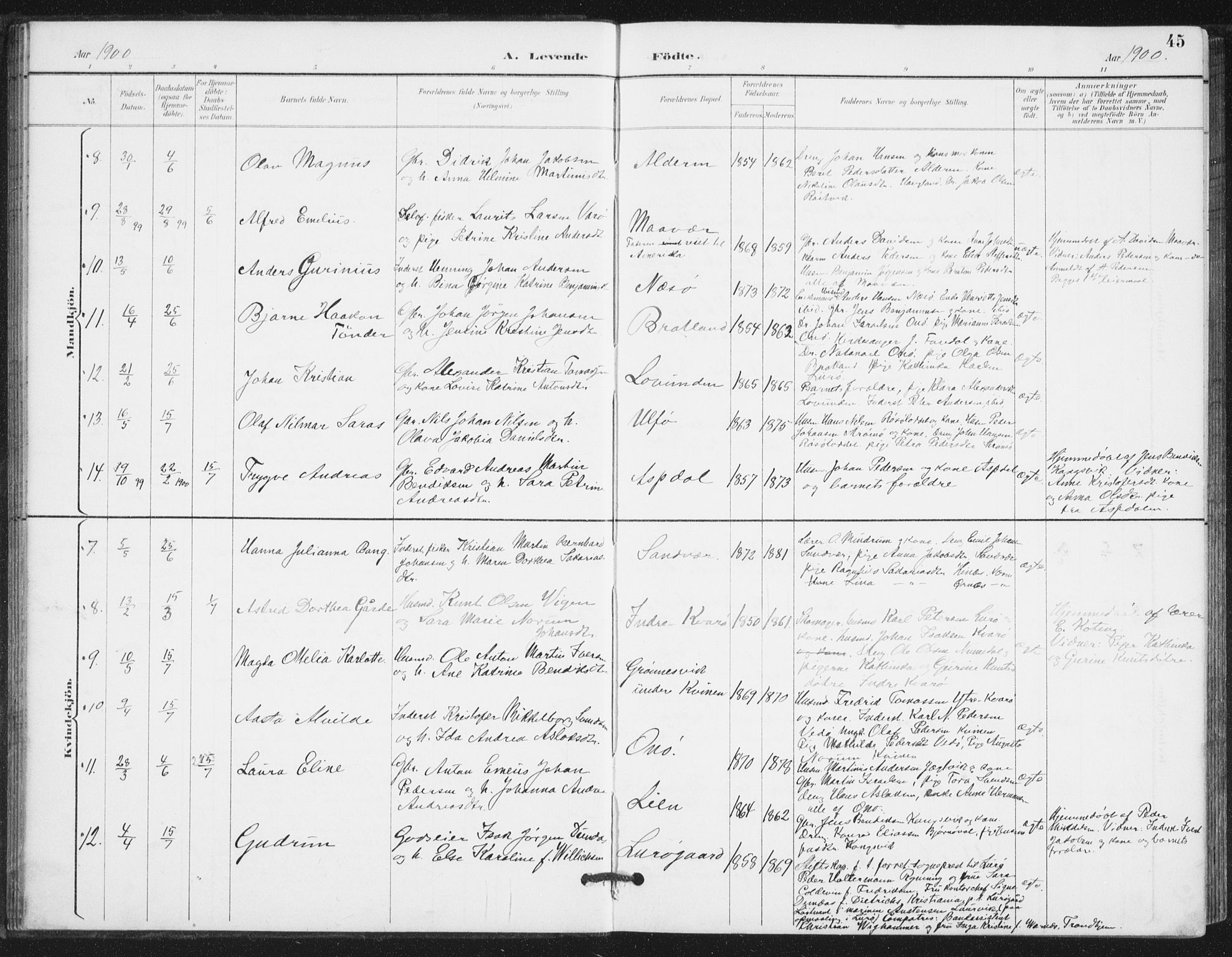 Ministerialprotokoller, klokkerbøker og fødselsregistre - Nordland, AV/SAT-A-1459/839/L0573: Parish register (copy) no. 839C03, 1892-1917, p. 45