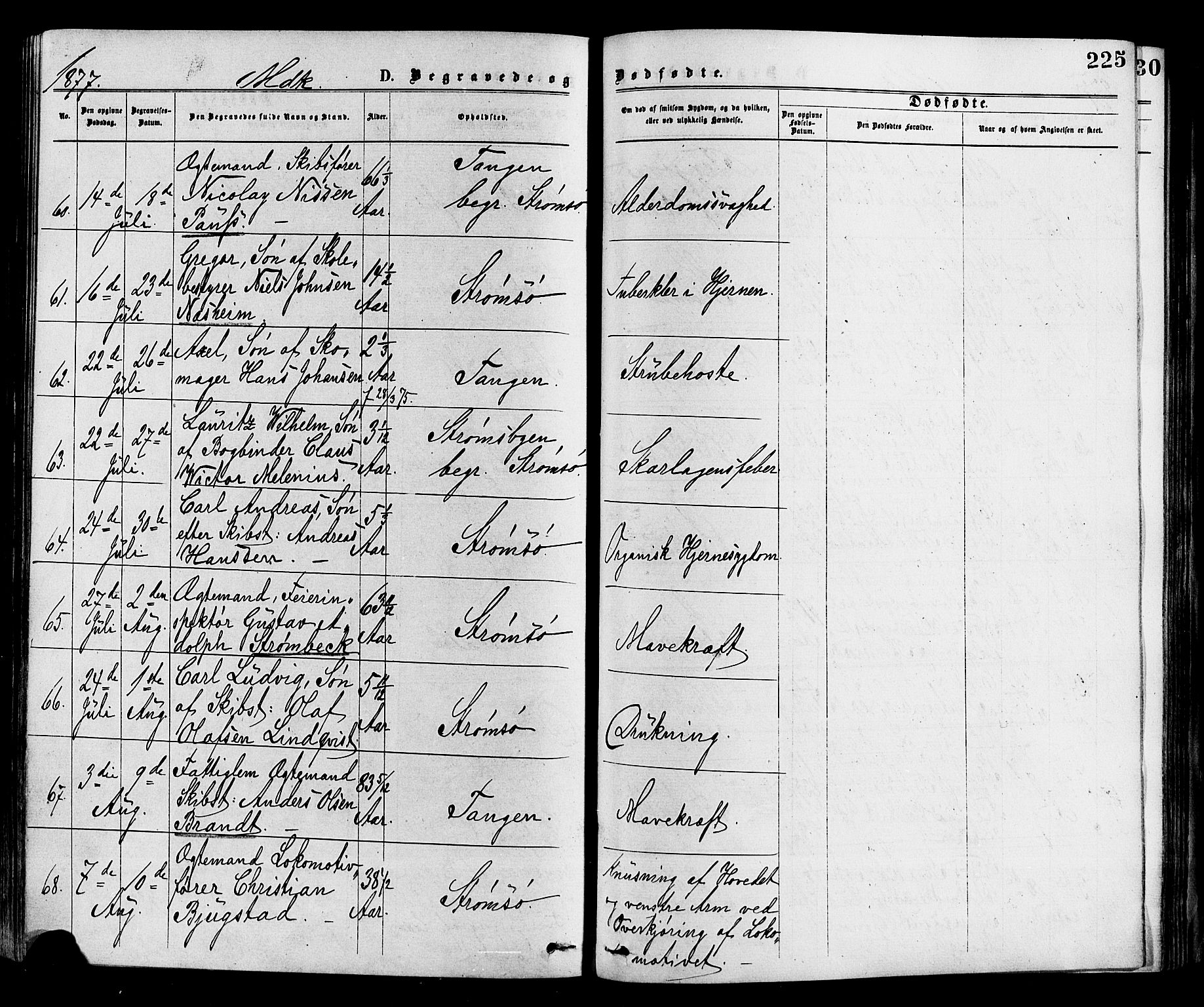Strømsø kirkebøker, SAKO/A-246/F/Fa/L0019: Parish register (official) no. I 19, 1874-1877, p. 225