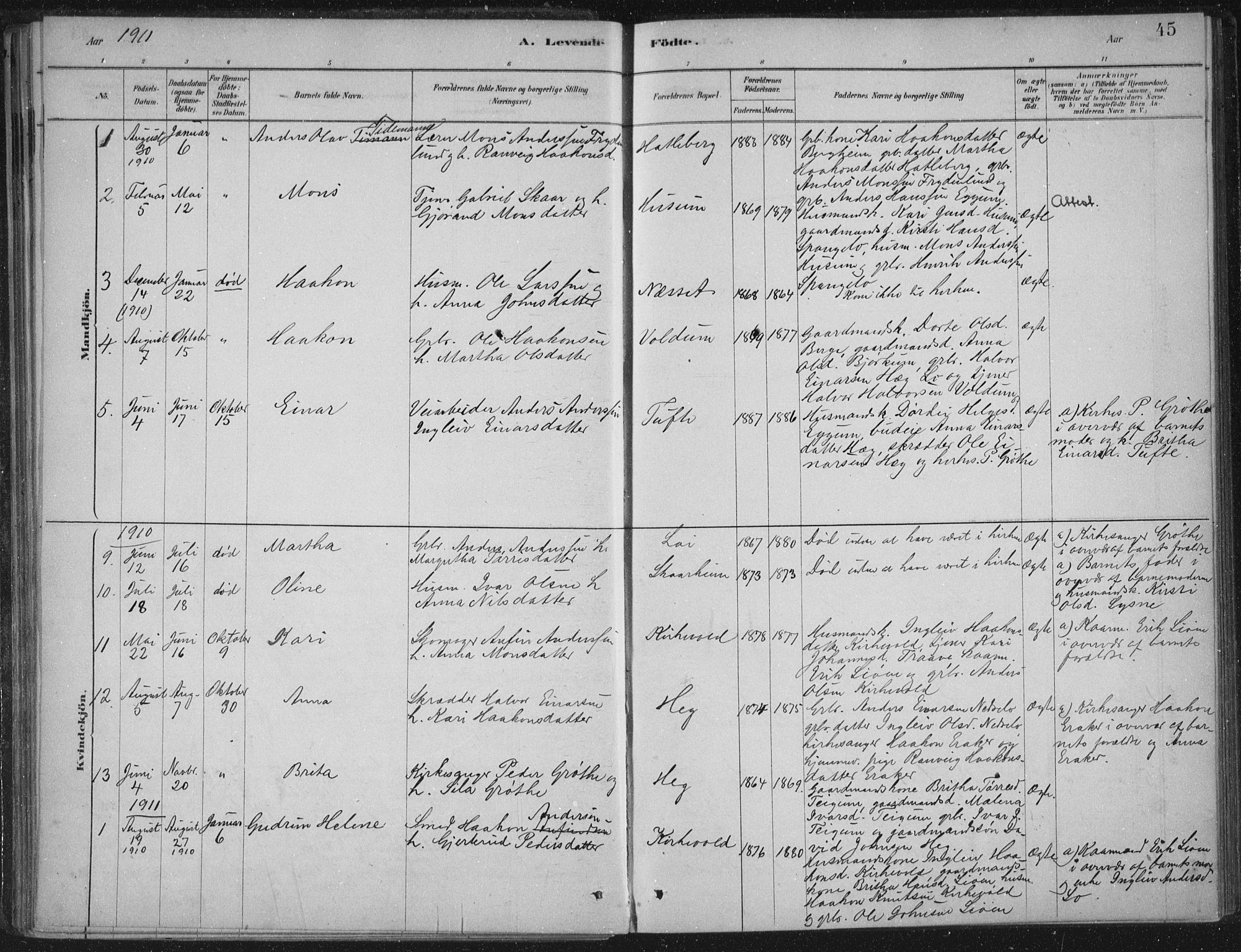 Lærdal sokneprestembete, AV/SAB-A-81201: Parish register (official) no. C  1, 1878-1911, p. 45