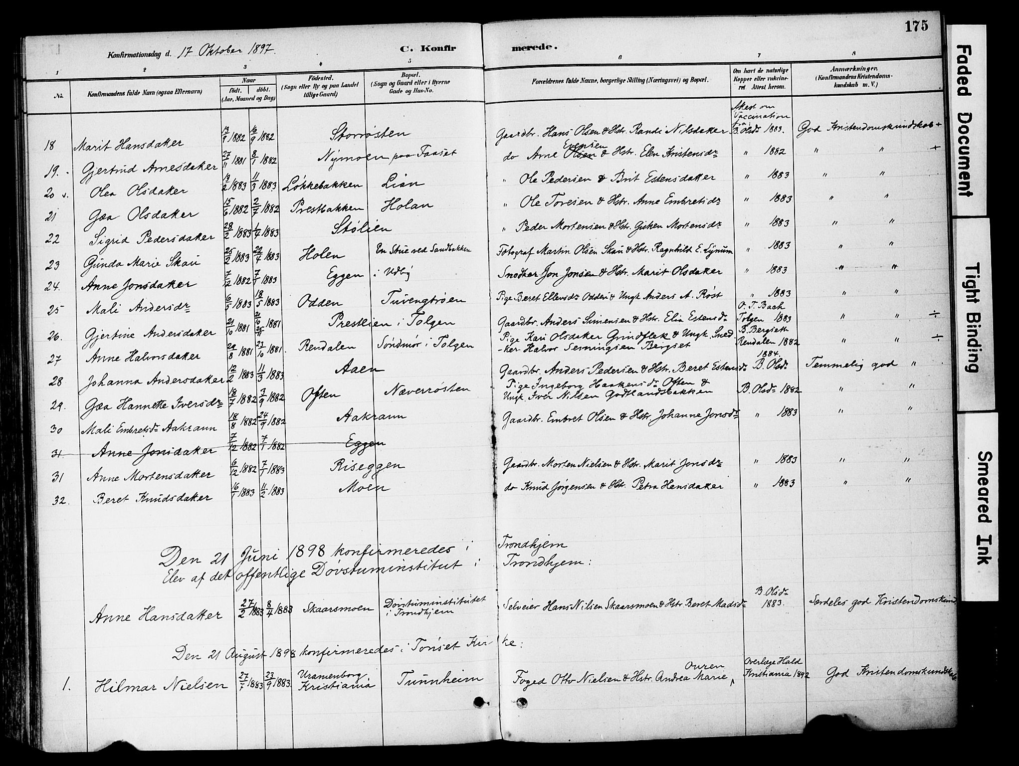 Tynset prestekontor, SAH/PREST-058/H/Ha/Haa/L0022: Parish register (official) no. 22, 1880-1899, p. 175