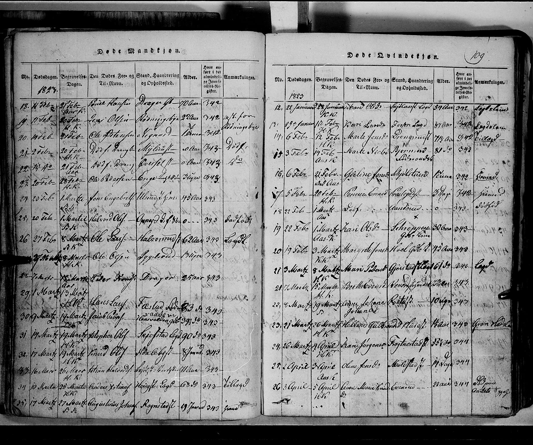 Toten prestekontor, SAH/PREST-102/H/Ha/Hab/L0002: Parish register (copy) no. 2, 1820-1827, p. 109