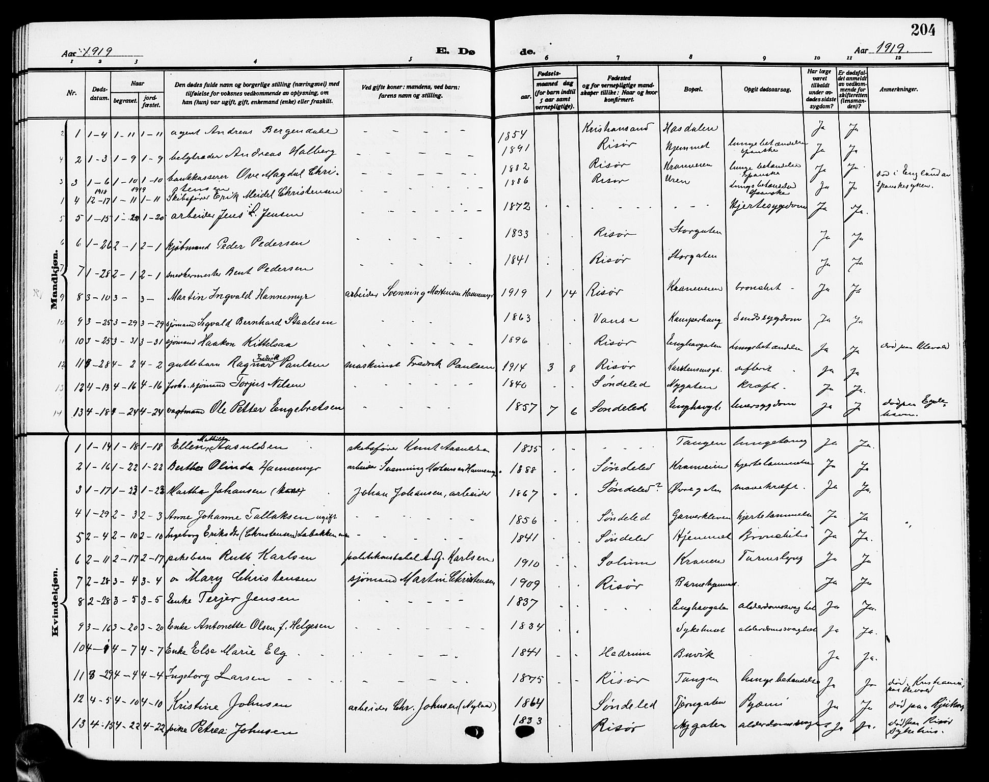 Risør sokneprestkontor, SAK/1111-0035/F/Fb/L0008: Parish register (copy) no. B 8, 1909-1921, p. 204