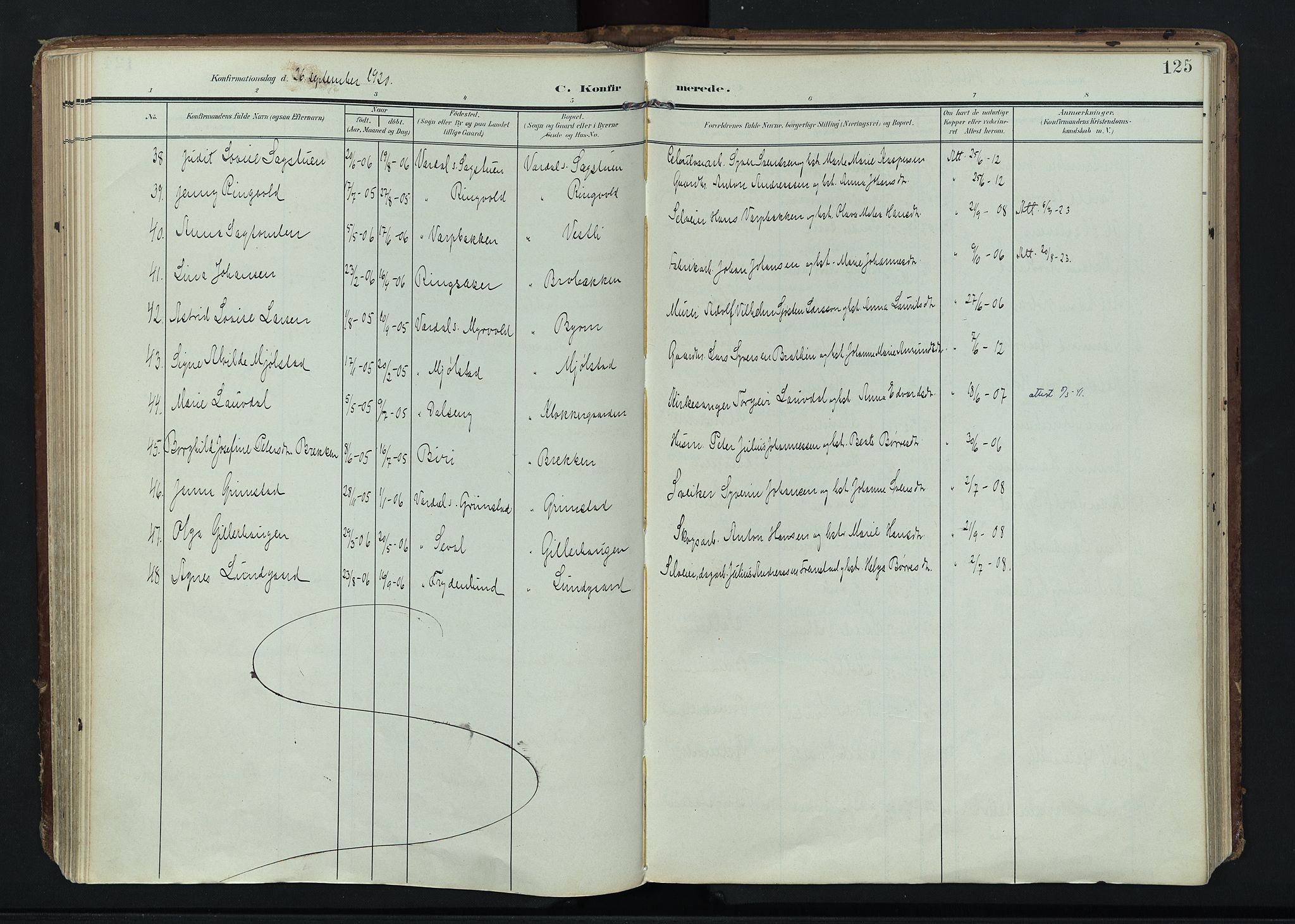 Vardal prestekontor, AV/SAH-PREST-100/H/Ha/Haa/L0020: Parish register (official) no. 20, 1907-1921, p. 125