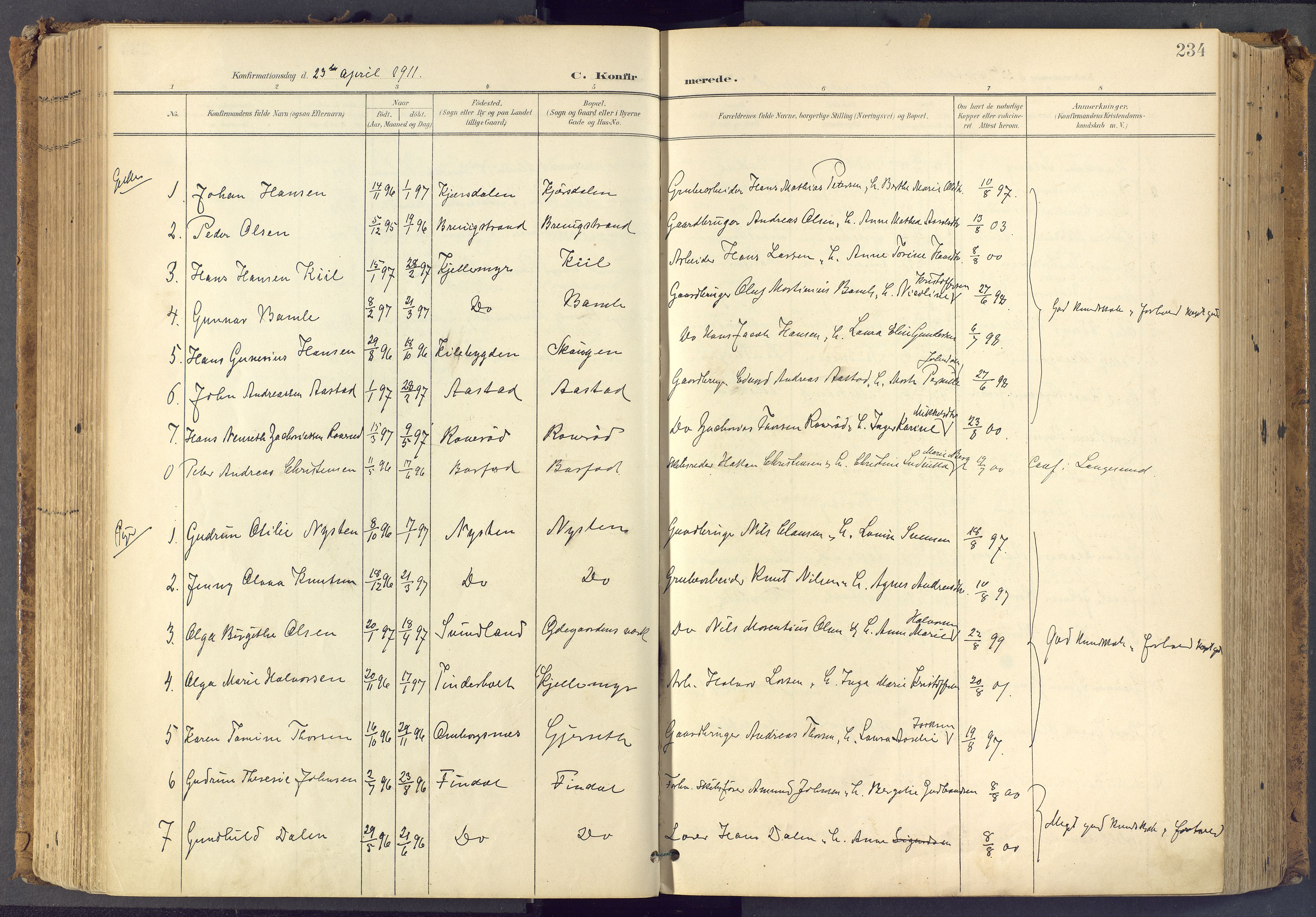 Bamble kirkebøker, SAKO/A-253/F/Fa/L0009: Parish register (official) no. I 9, 1901-1917, p. 234