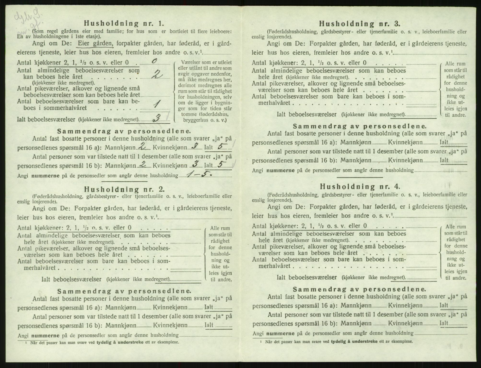 SAK, 1920 census for Valle, 1920, p. 208
