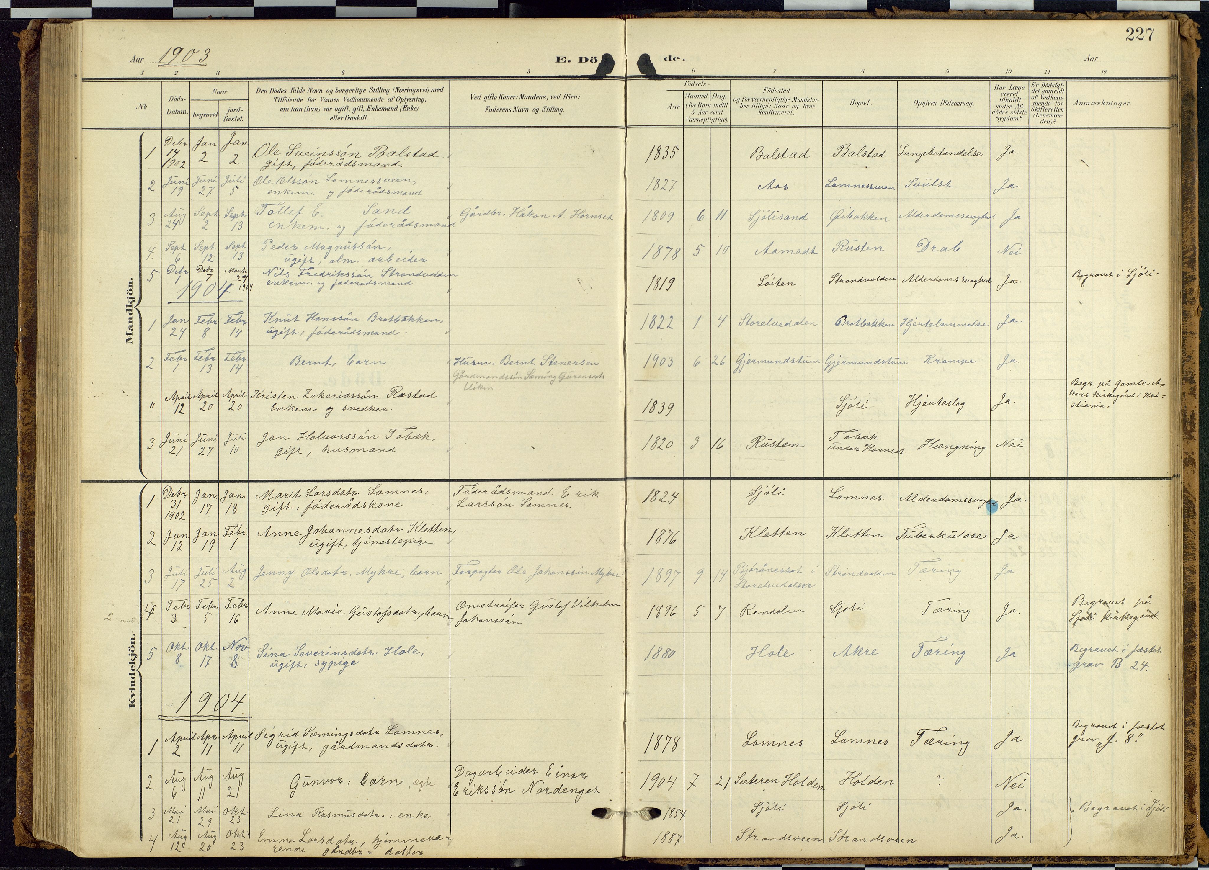 Rendalen prestekontor, SAH/PREST-054/H/Ha/Hab/L0010: Parish register (copy) no. 10, 1903-1940, p. 227