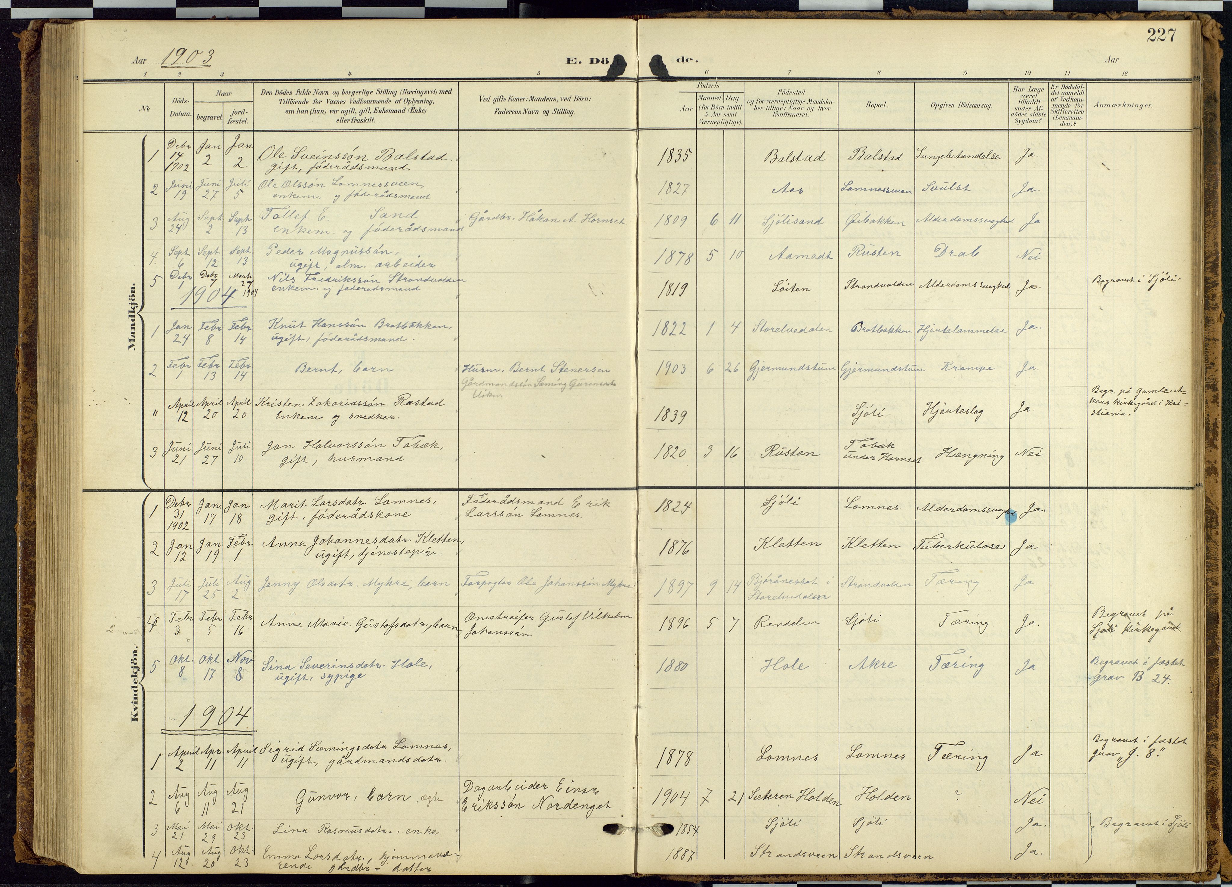 Rendalen prestekontor, AV/SAH-PREST-054/H/Ha/Hab/L0010: Parish register (copy) no. 10, 1903-1940, p. 227
